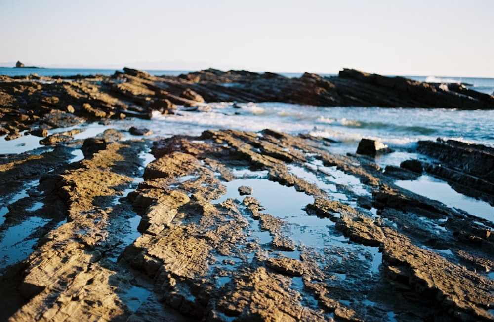 a rocky shore with a body of water in the background