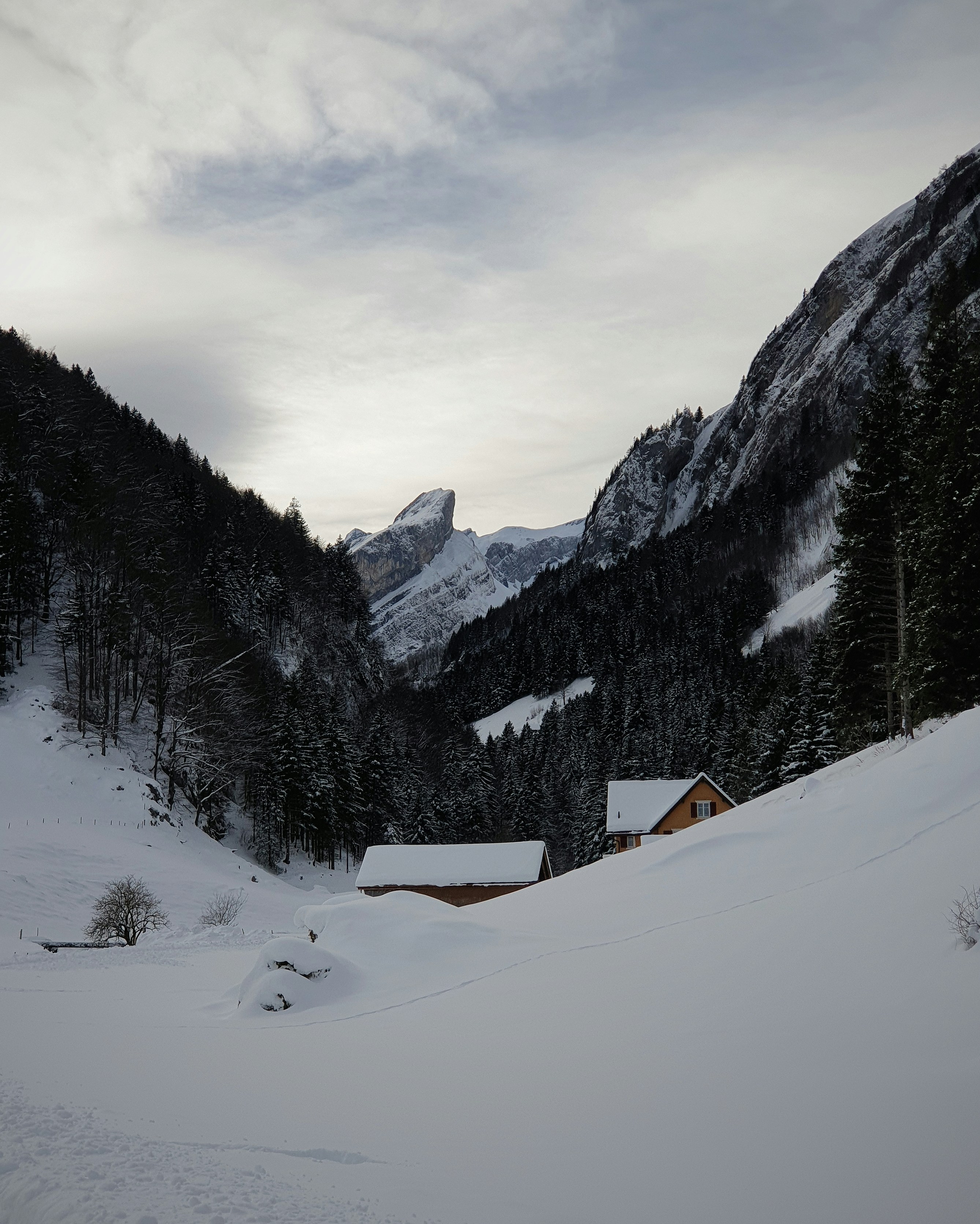 Photo by illiakholin