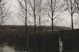 Diyarbakır