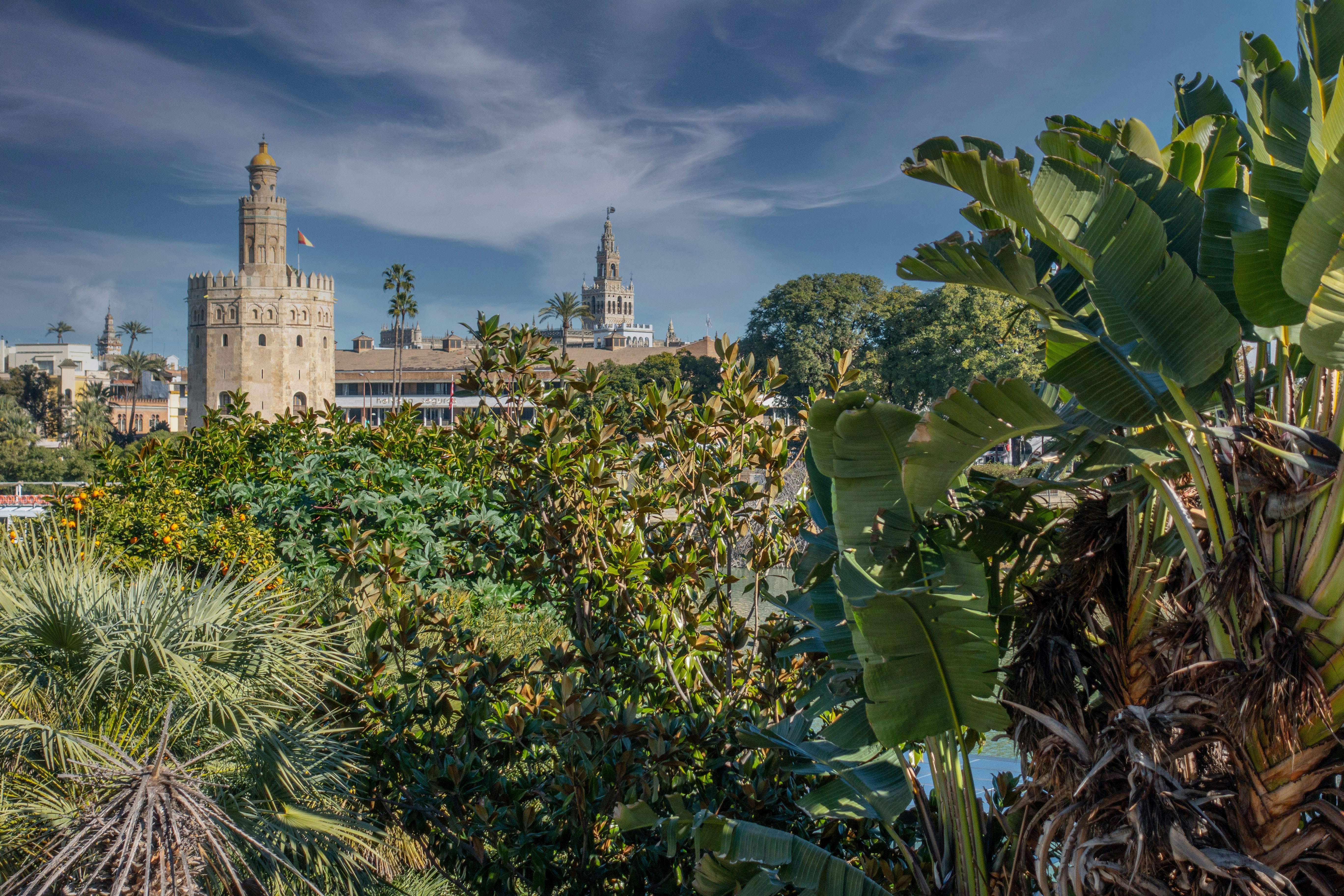 The Torre del Oro with Seville Cathedral