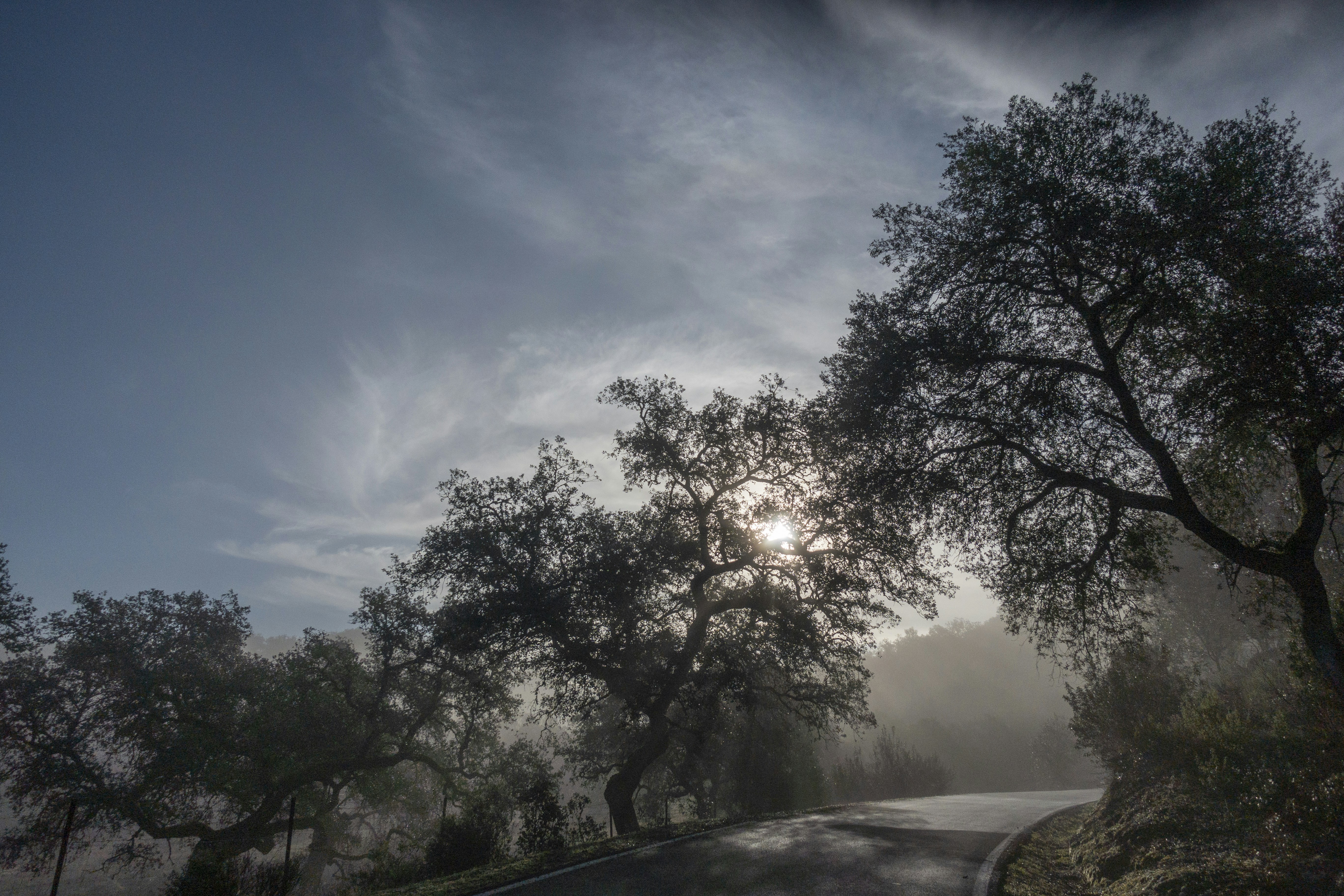 Photo by kristofer2482