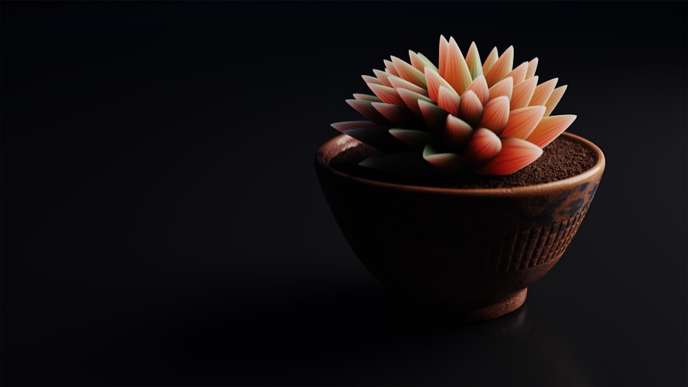 a small potted plant sitting on top of a table