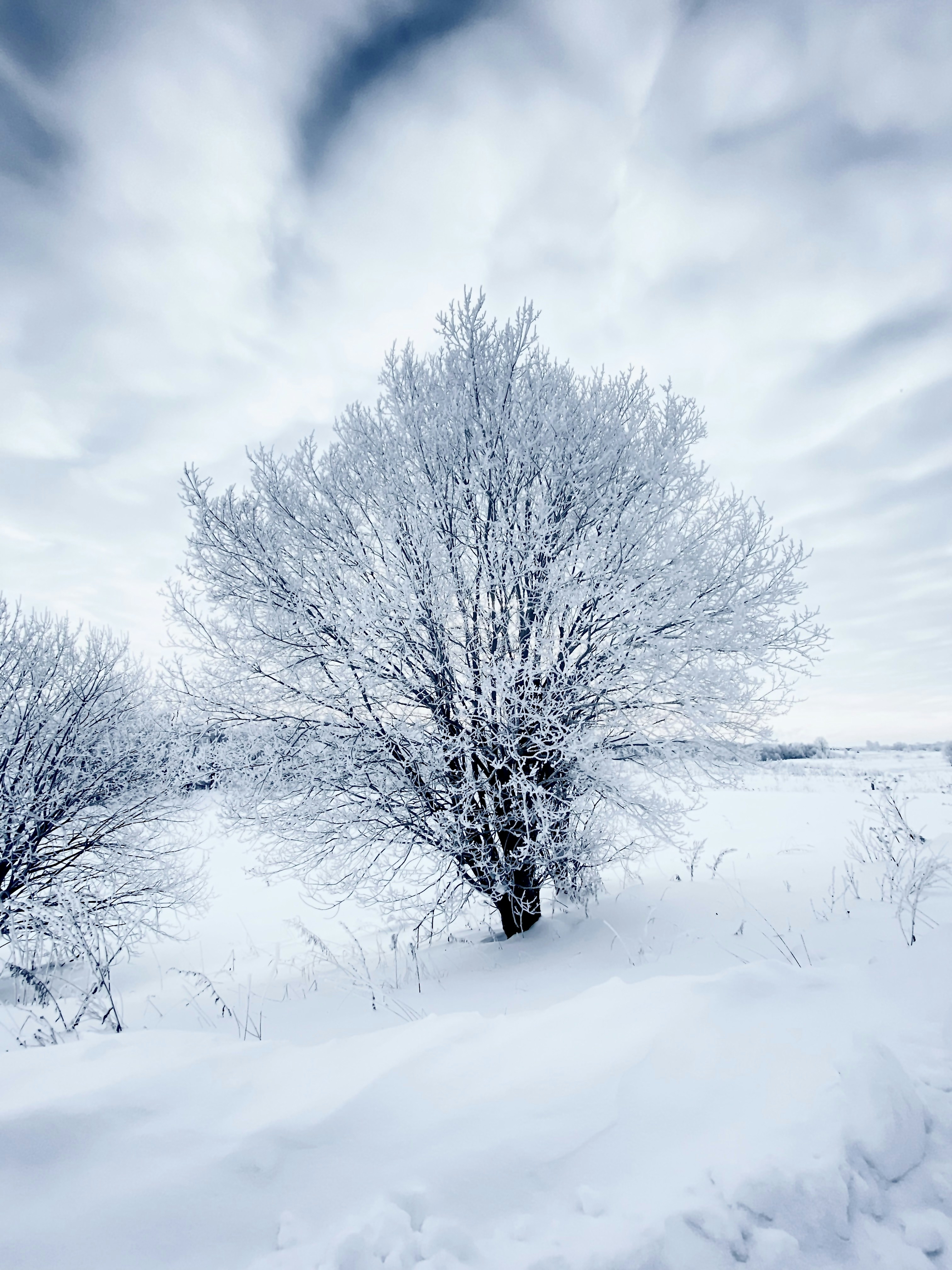 Photo by eugene_golovesov