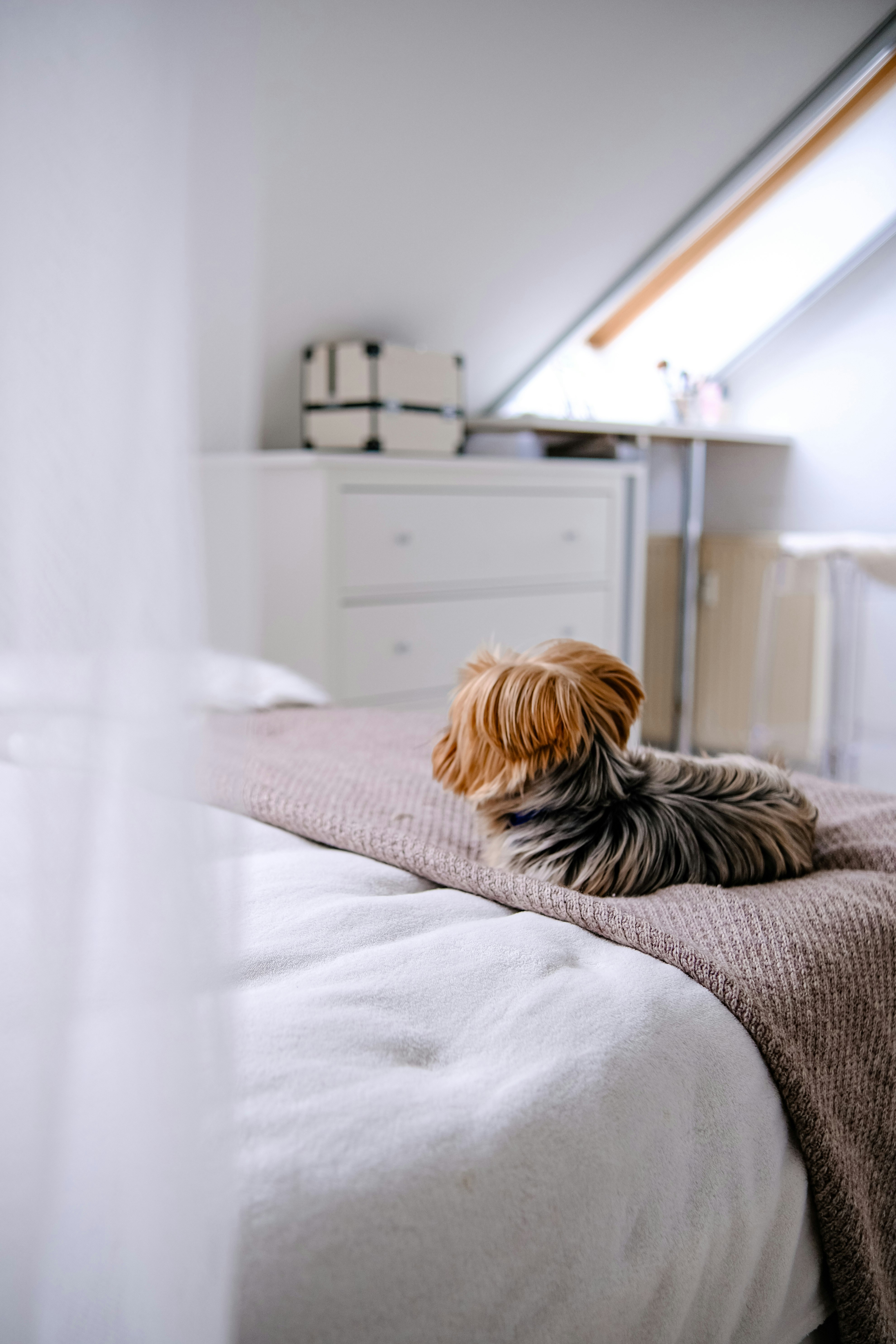 Enclos de petits animaux et literie