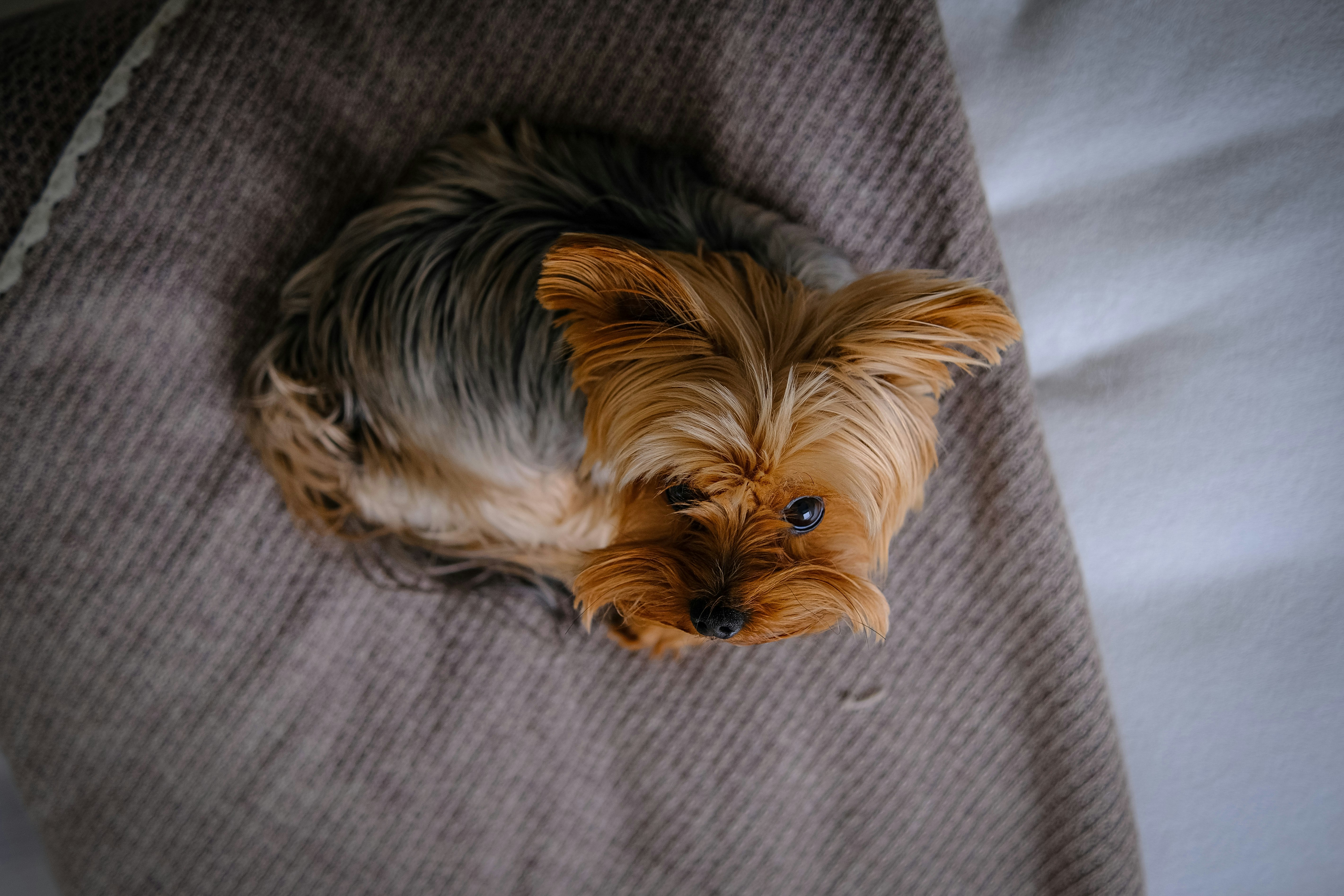 Photo by juliablumberg