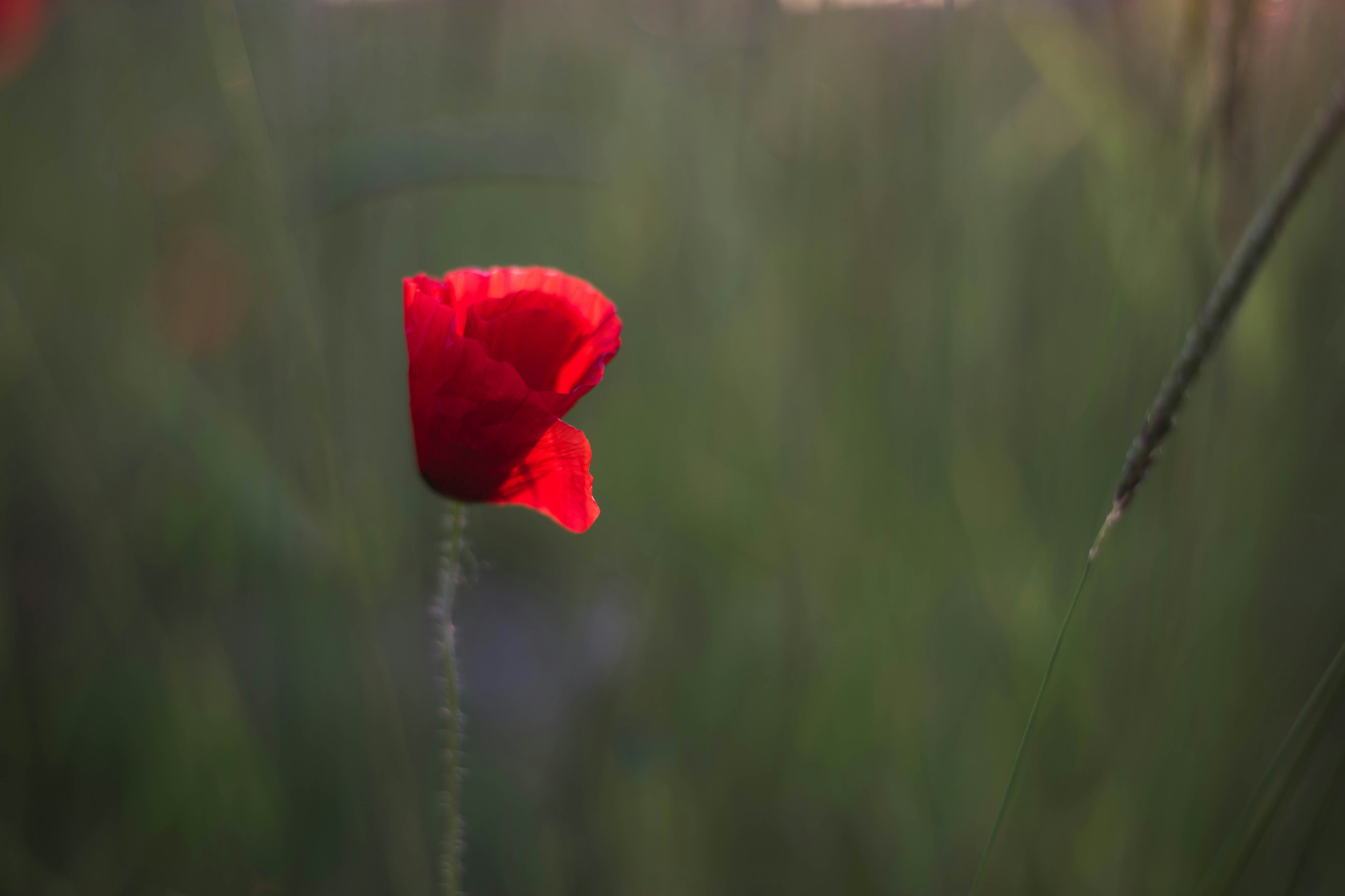 Photo by l0redana_p0letto