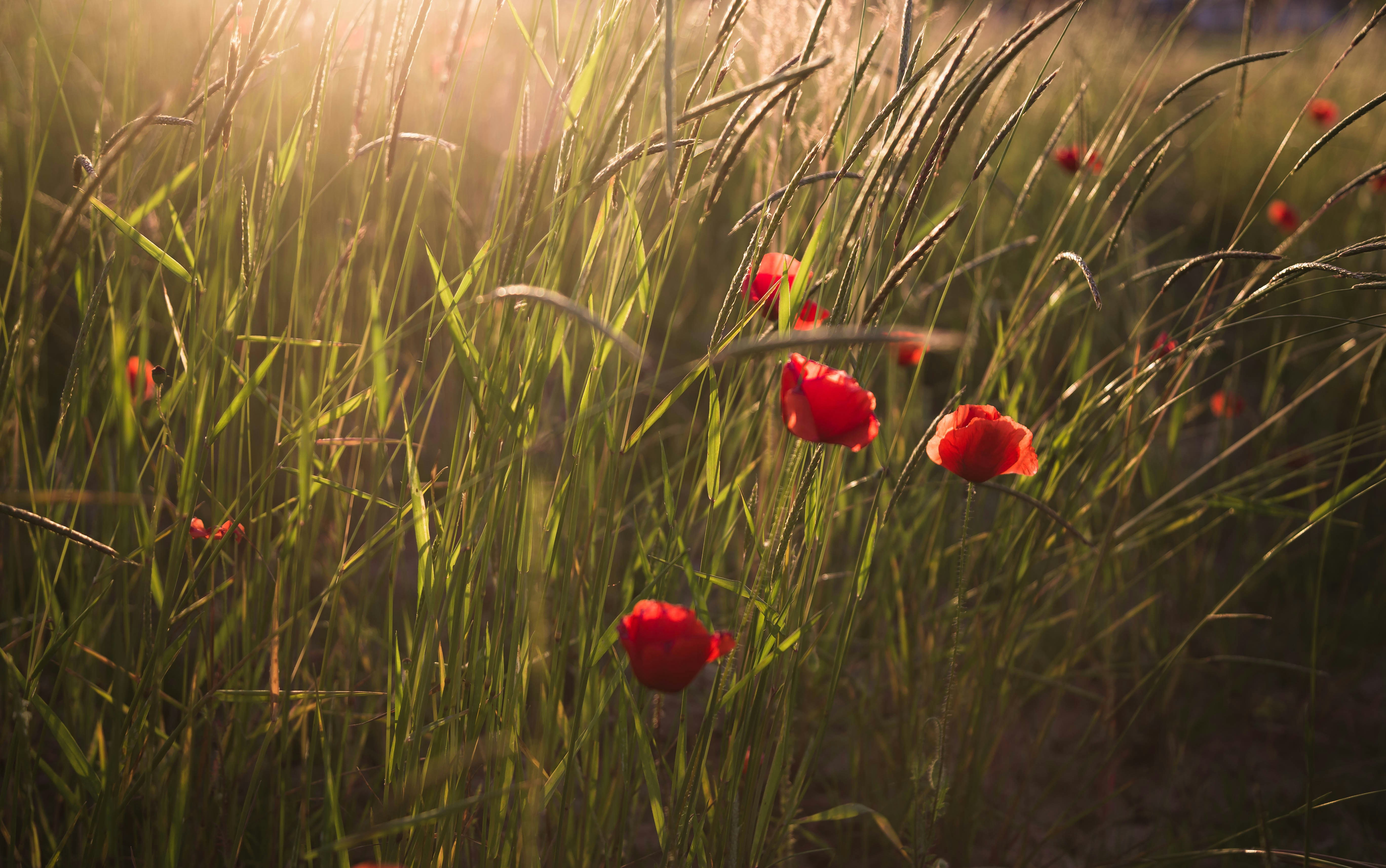 Photo by l0redana_p0letto