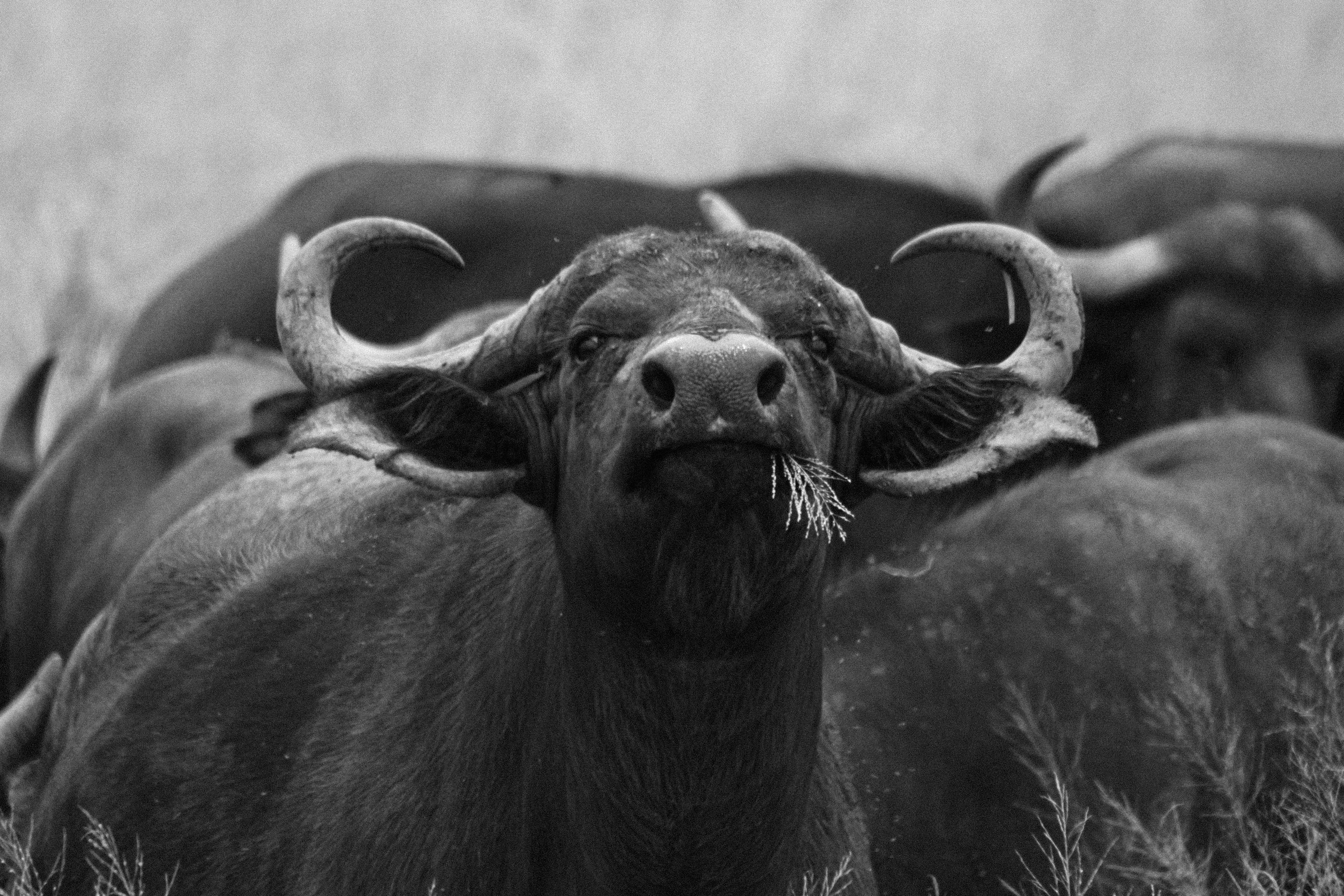 Photo by deborah_varrie