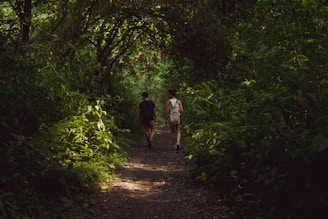 a couple of people that are walking down a trail