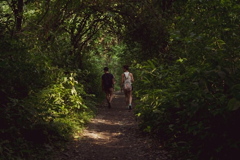 a couple of people that are walking down a trail