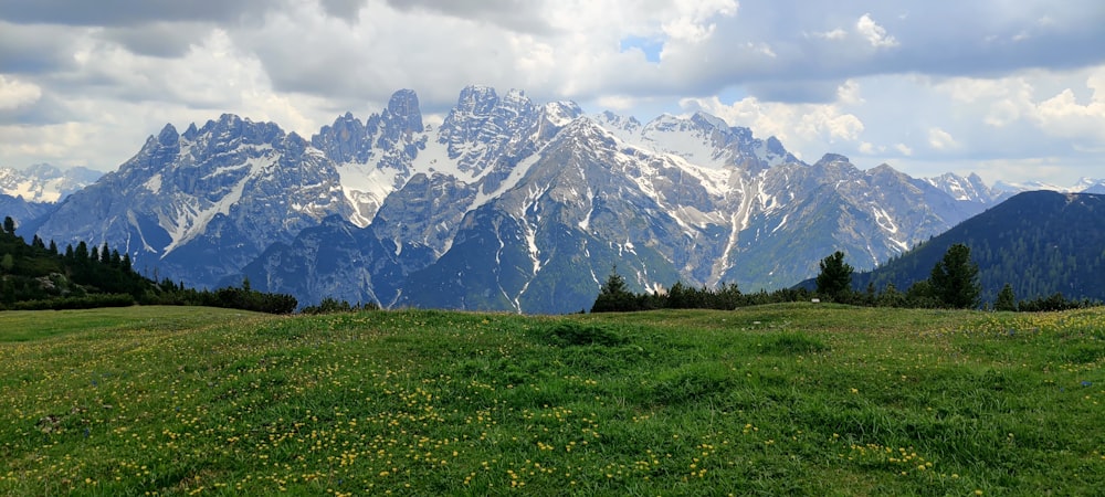 a grassy field with mountains in the background