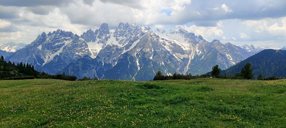 Un champ herbeux avec des montagnes en arrière-plan