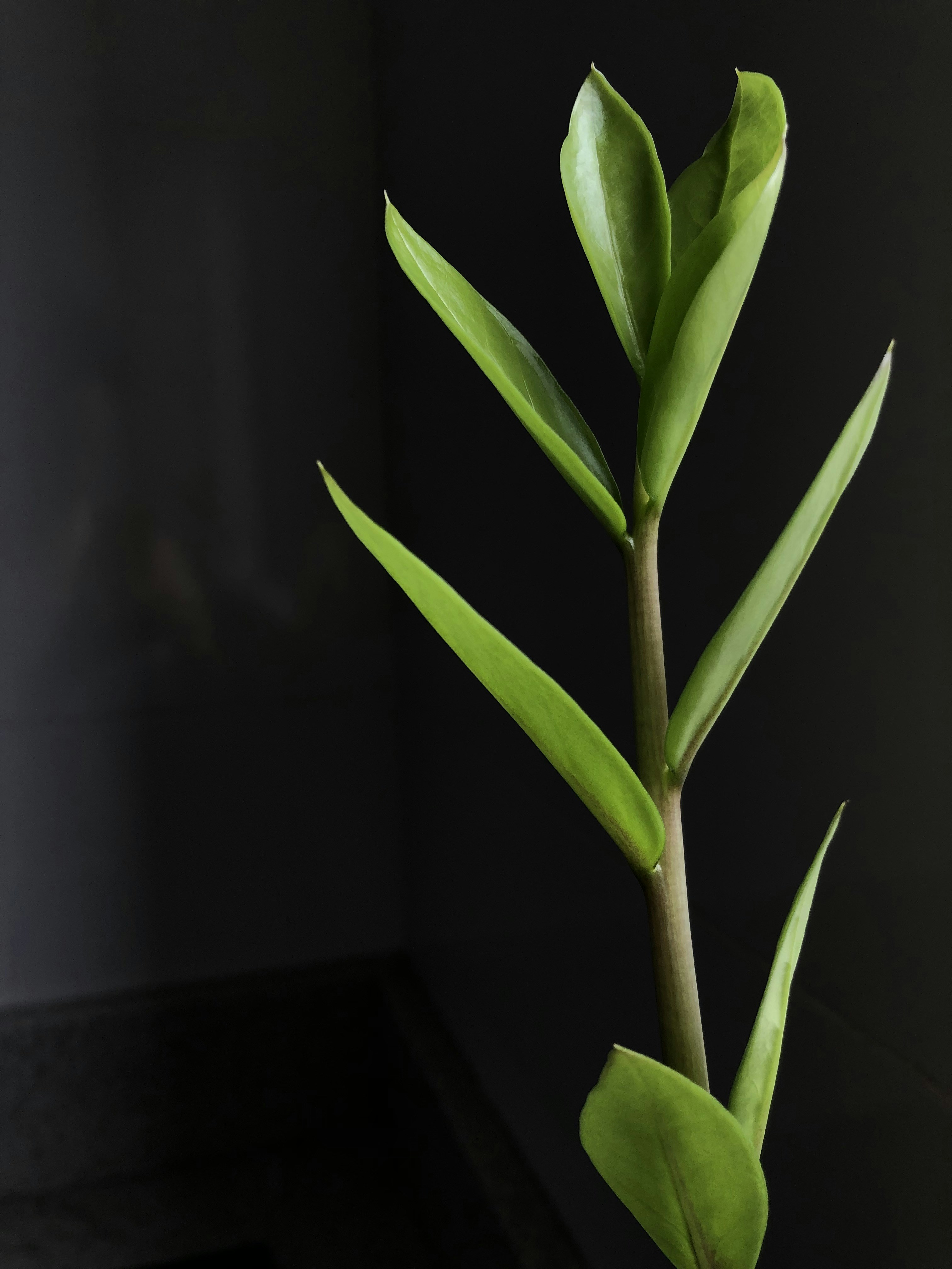 Photo by martins_sandra