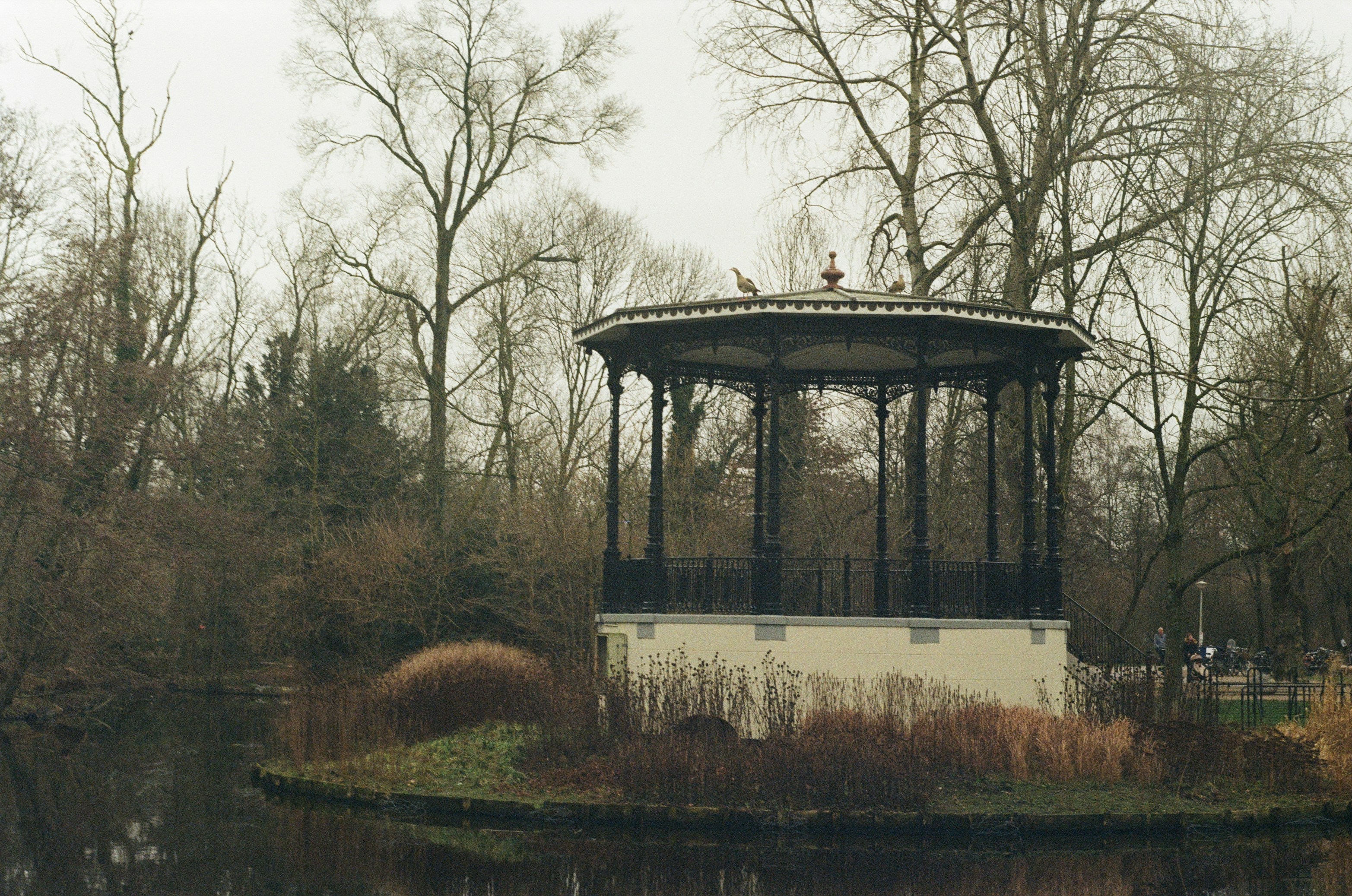 Photo by ana_petrenko