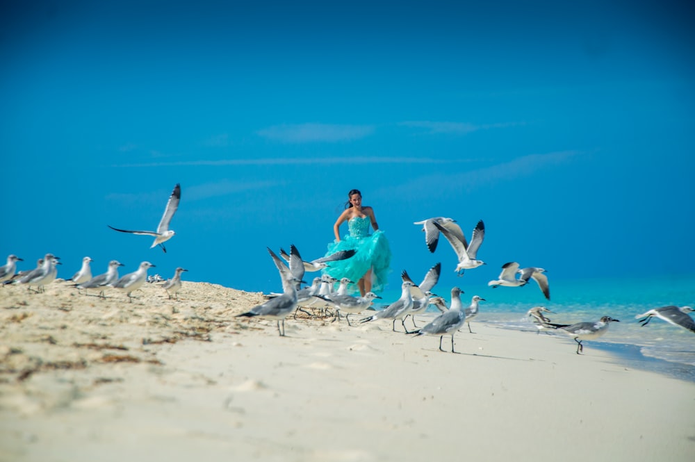 a woman standing on a beach surrounded by seagulls