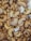 A close-up view of numerous roasted cashew nuts with visible salt crystals on their surfaces. The nuts are irregularly shaped, with a warm, golden-brown hue, and some pieces show a glossy roasted texture.