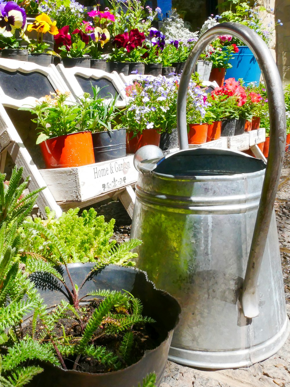 a metal watering can with plants in it