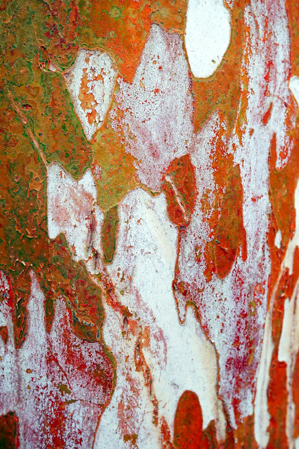 a close up of a red and white painting