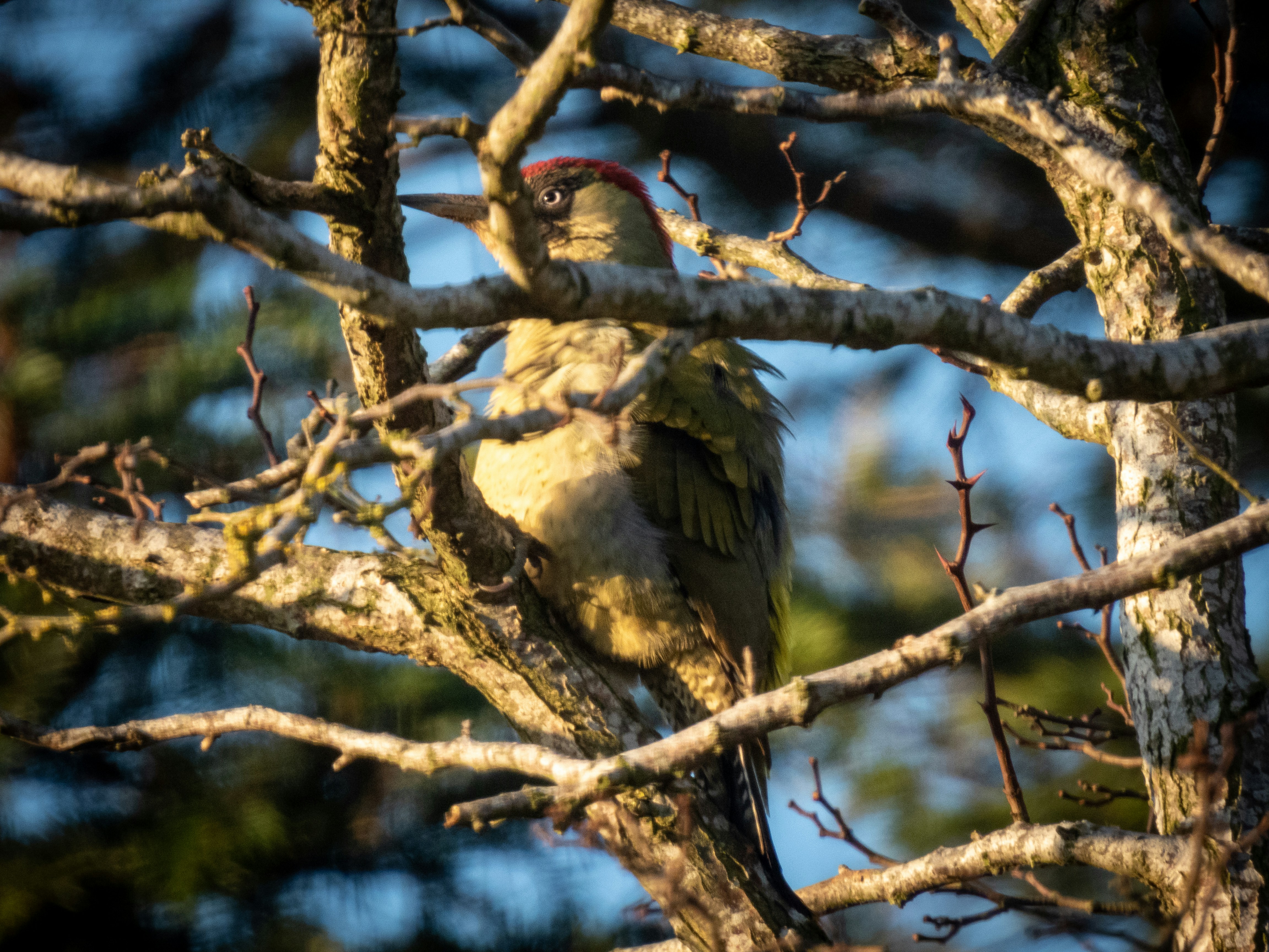 Photo by kevinyates64