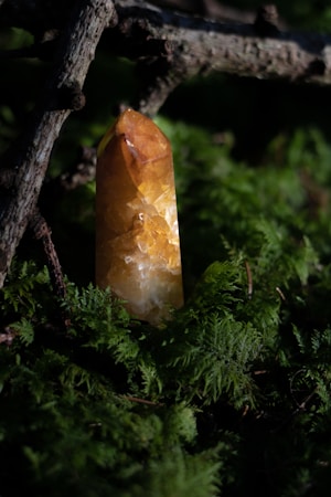 A polished orange crystal stands upright among green foliage and tree branches. The sunlight enhances the crystal's vibrant hues, casting shadows on the dense greenery surrounding it.