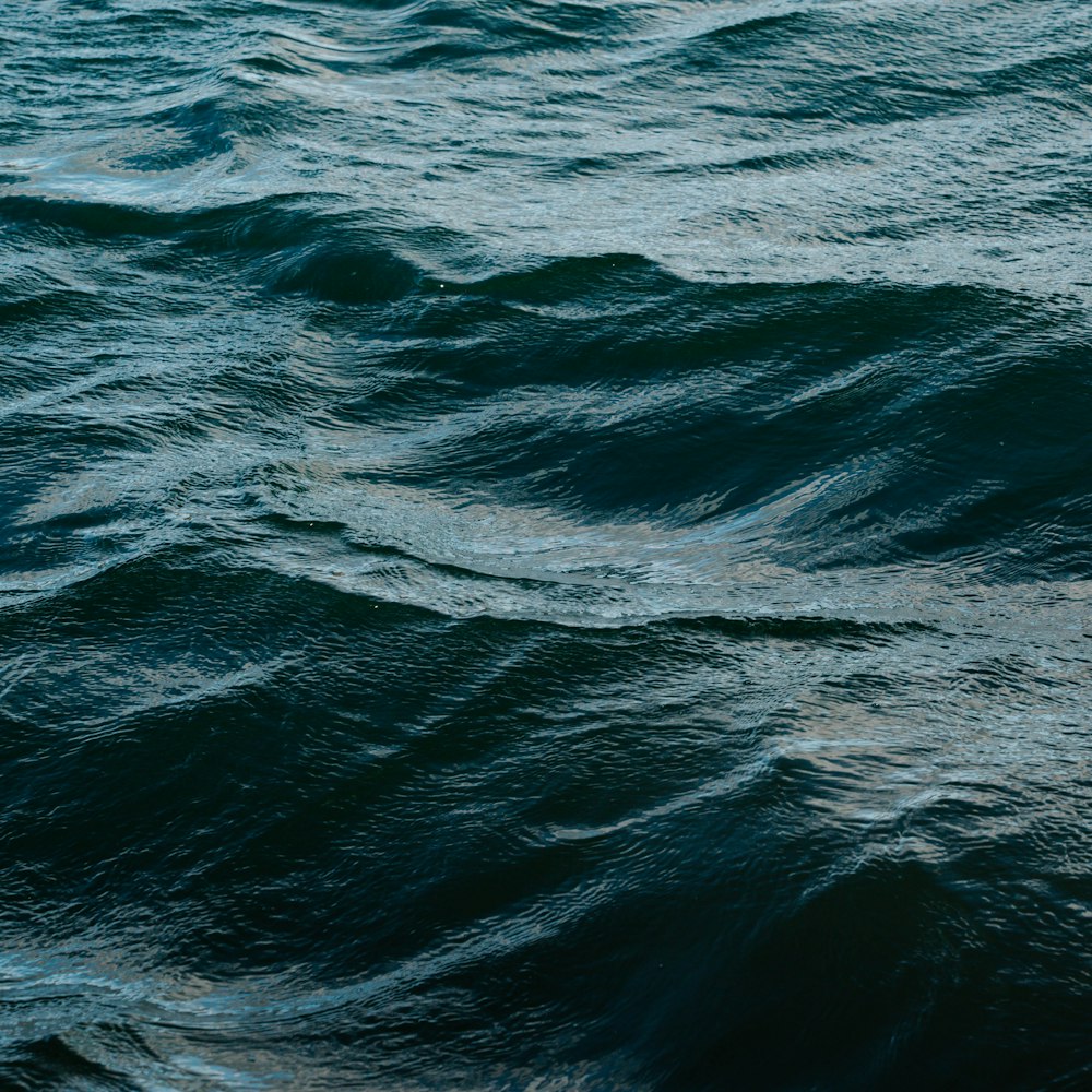 a large body of water with waves in it