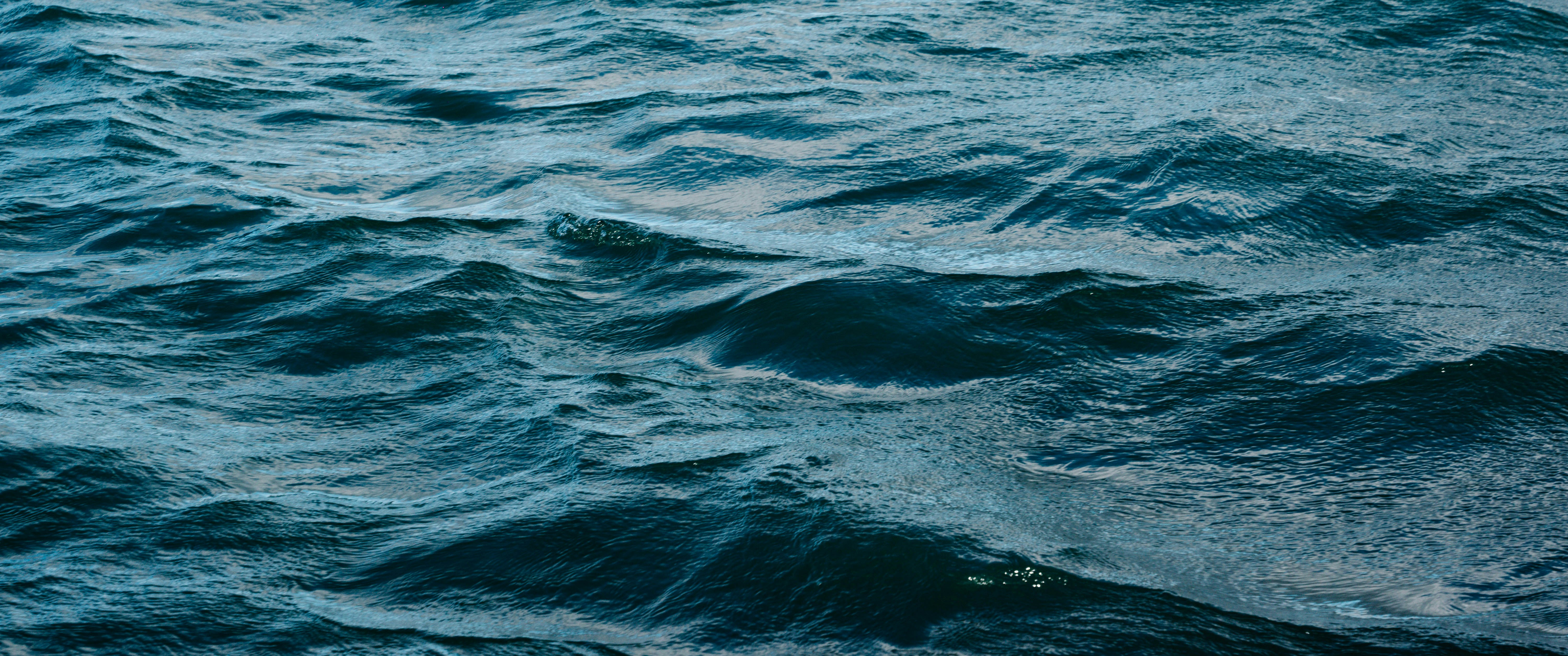 Photo by malakiwhite17