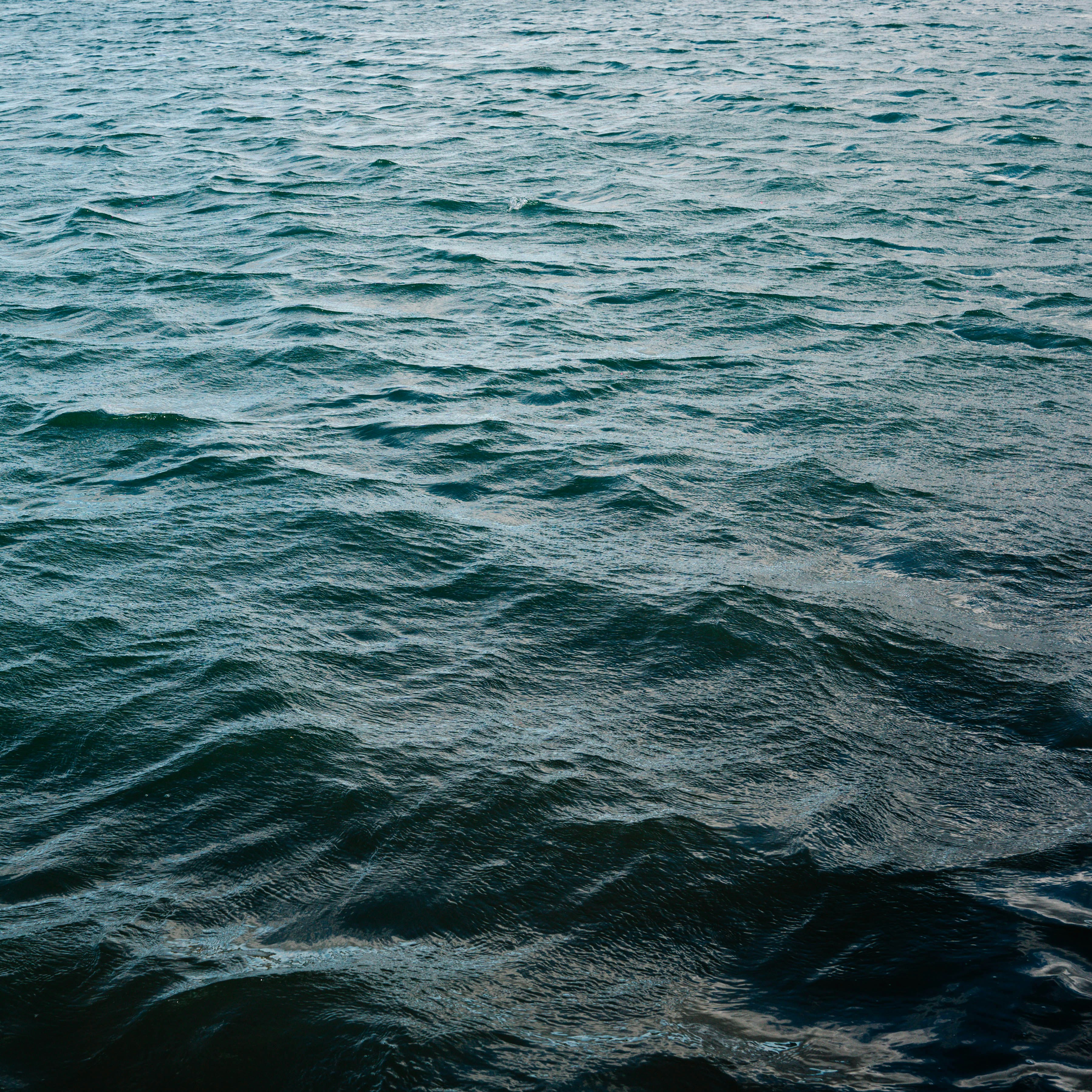 Photo by malakiwhite17