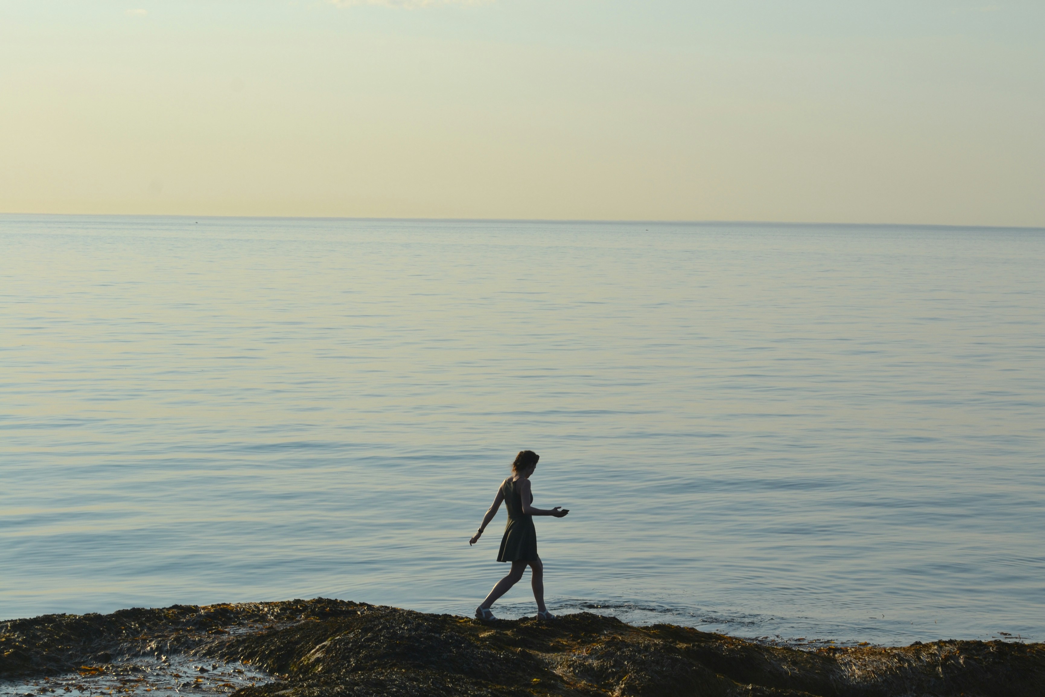 Photo by fourcurrants