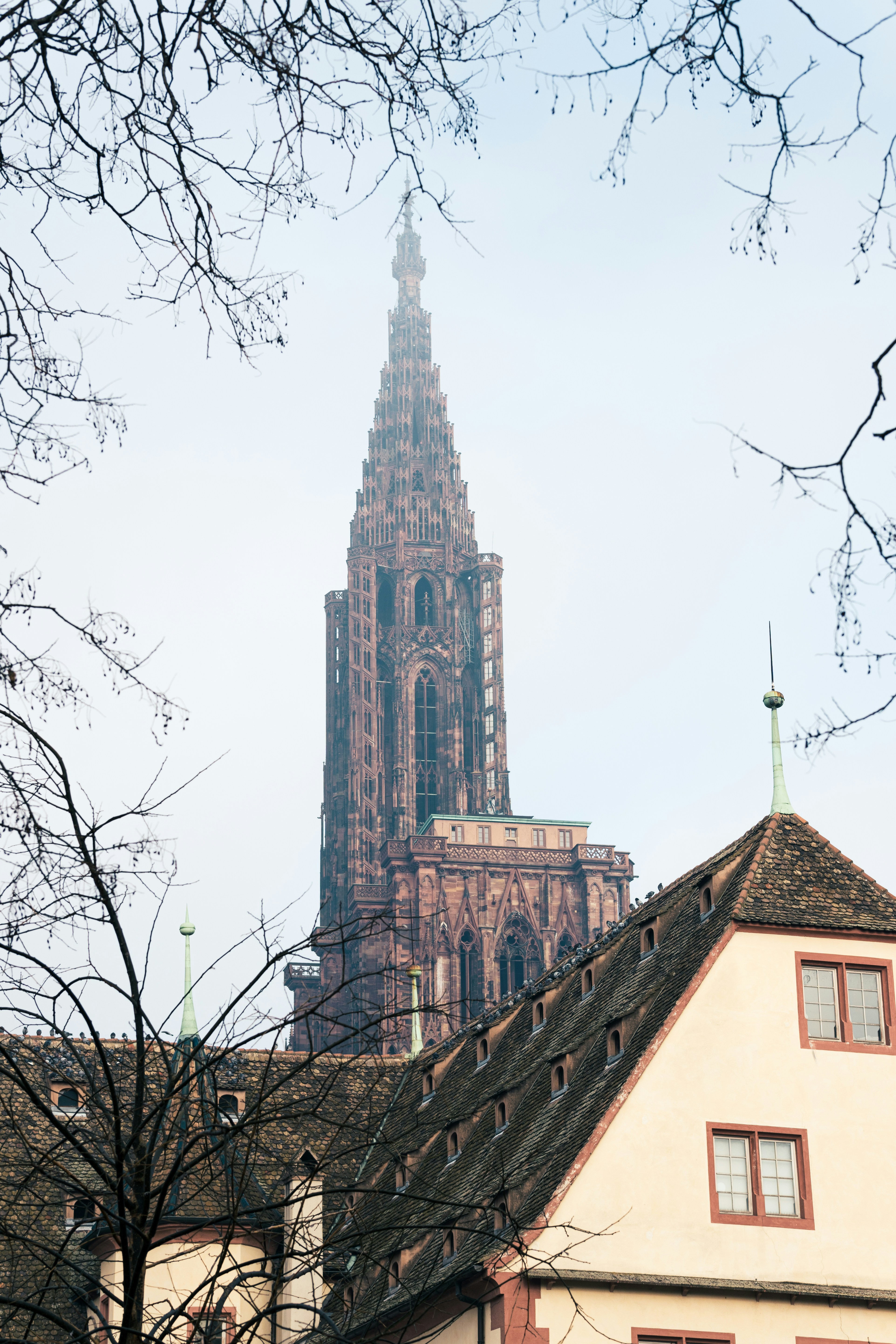 Photo by alessandrocavestro_