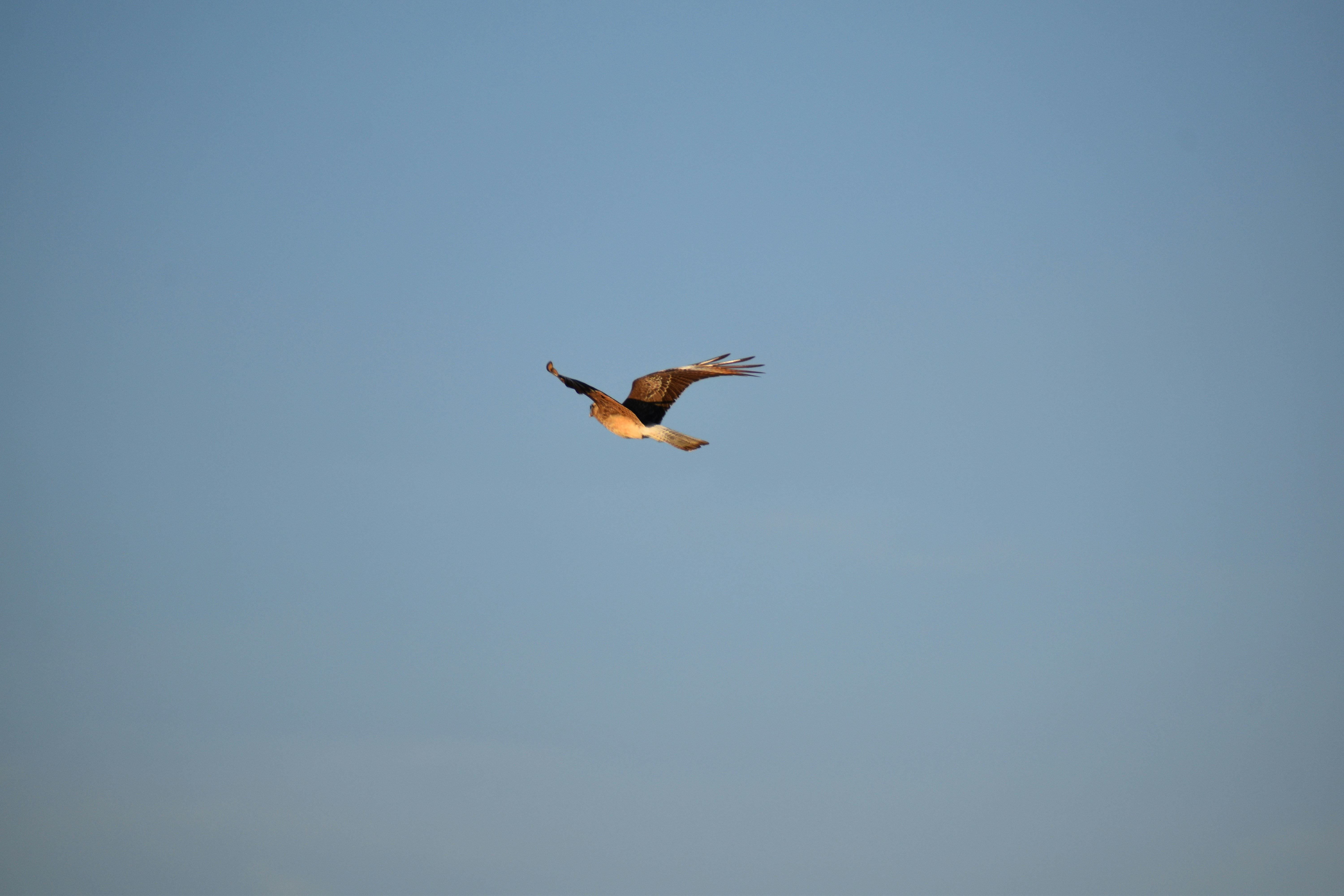 Photo by santiagodeluca