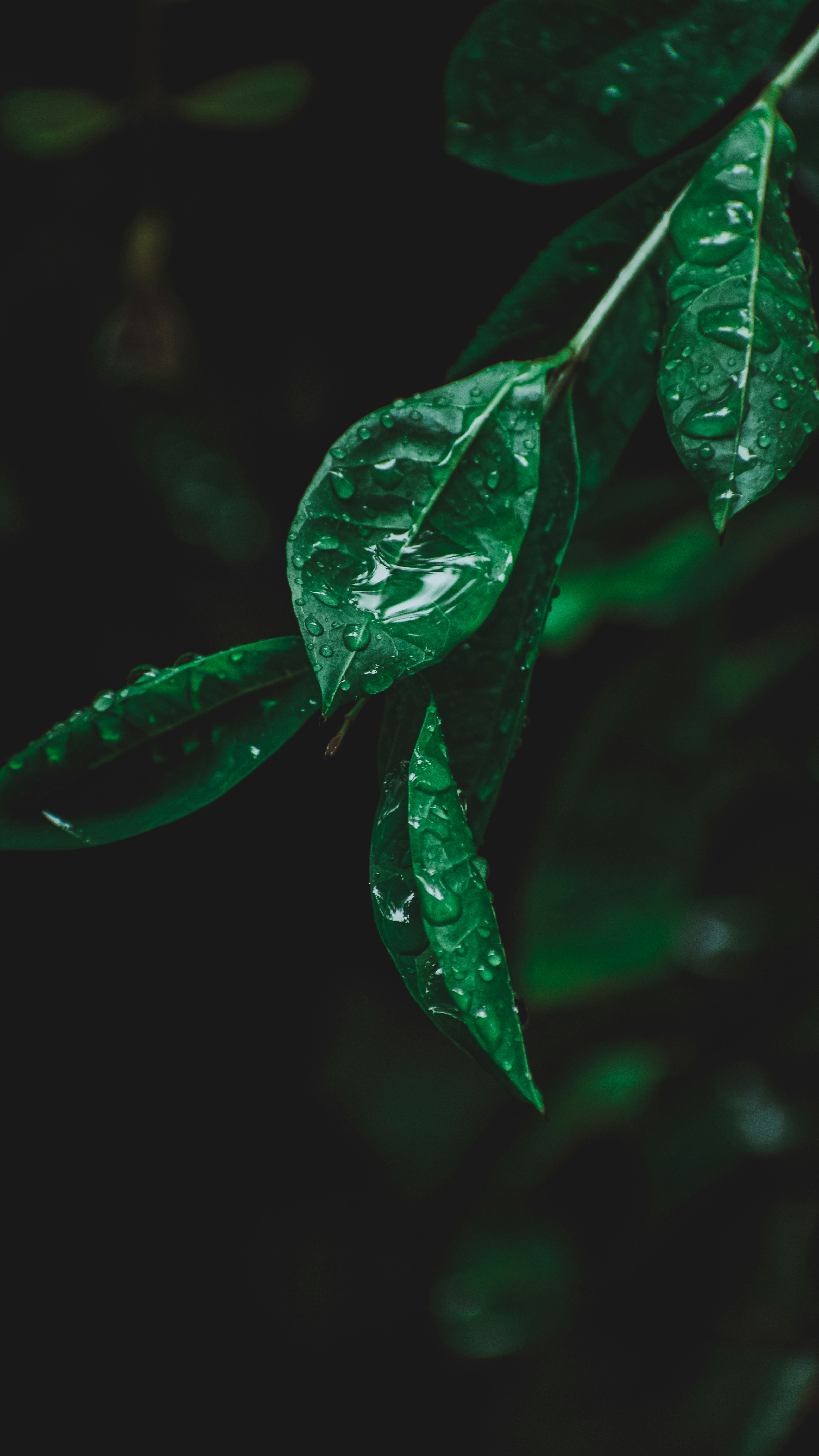 Photo by thearulsingh