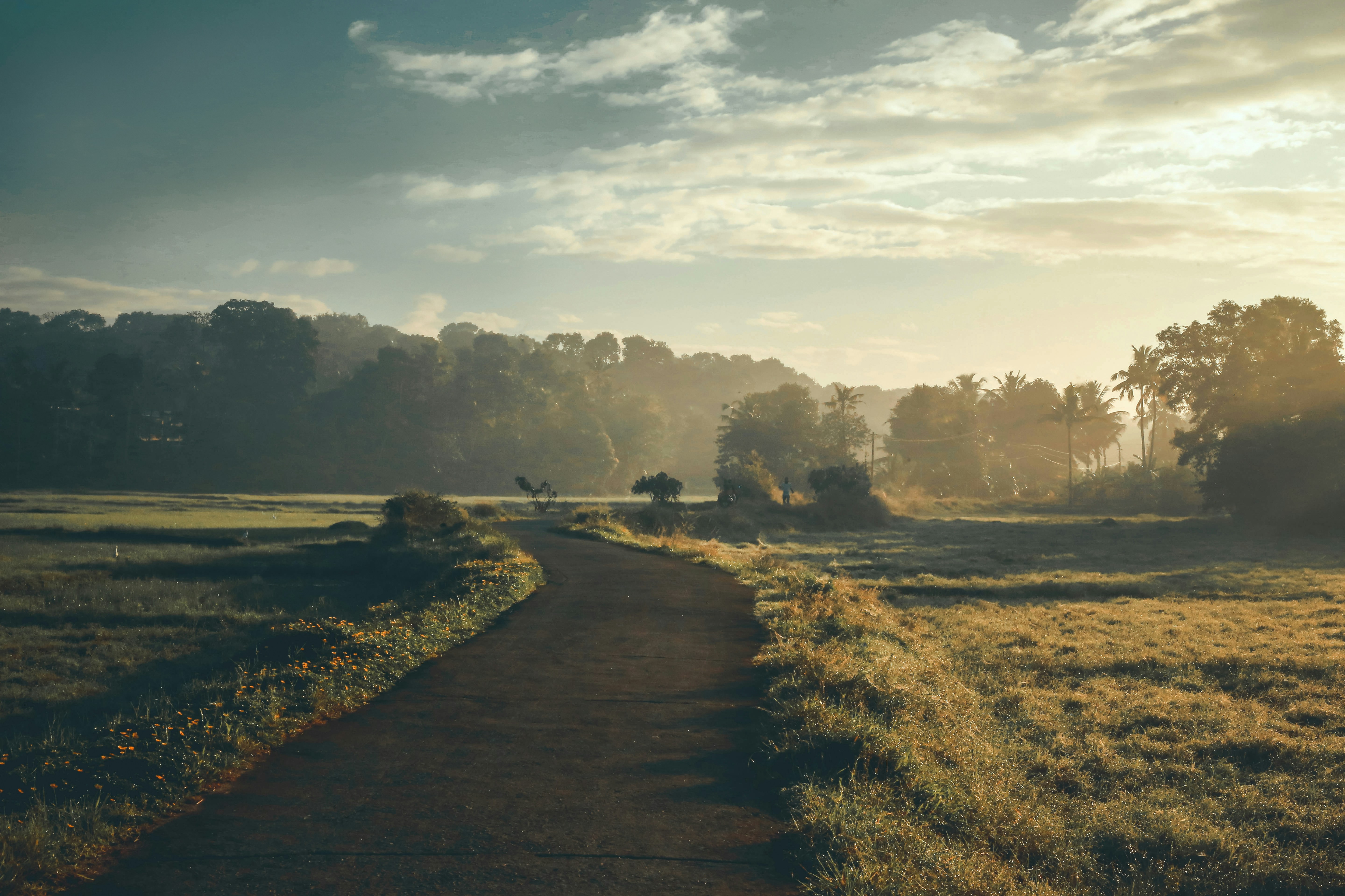 Photo by abhishek_ajith