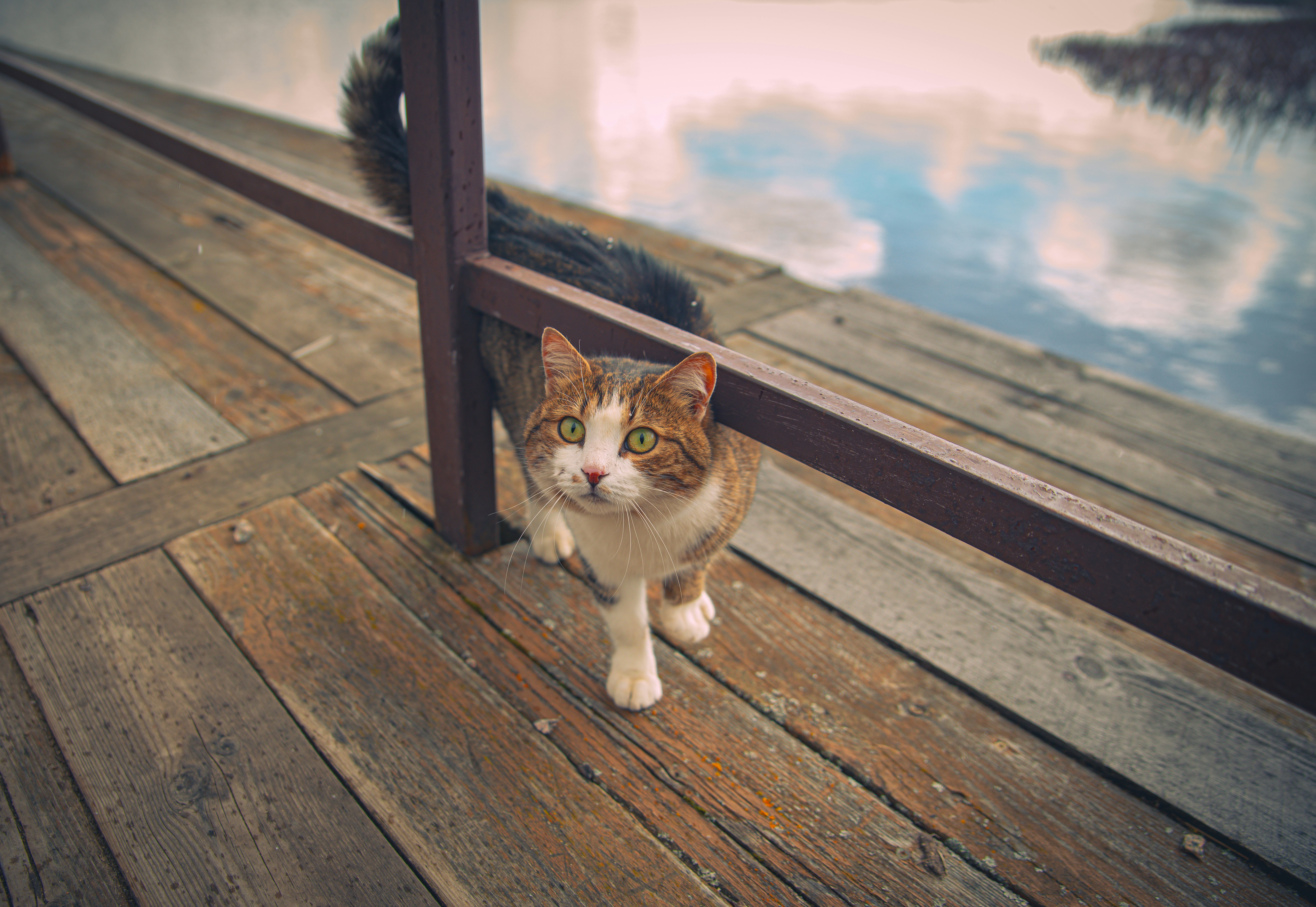 Photo by lendermaria