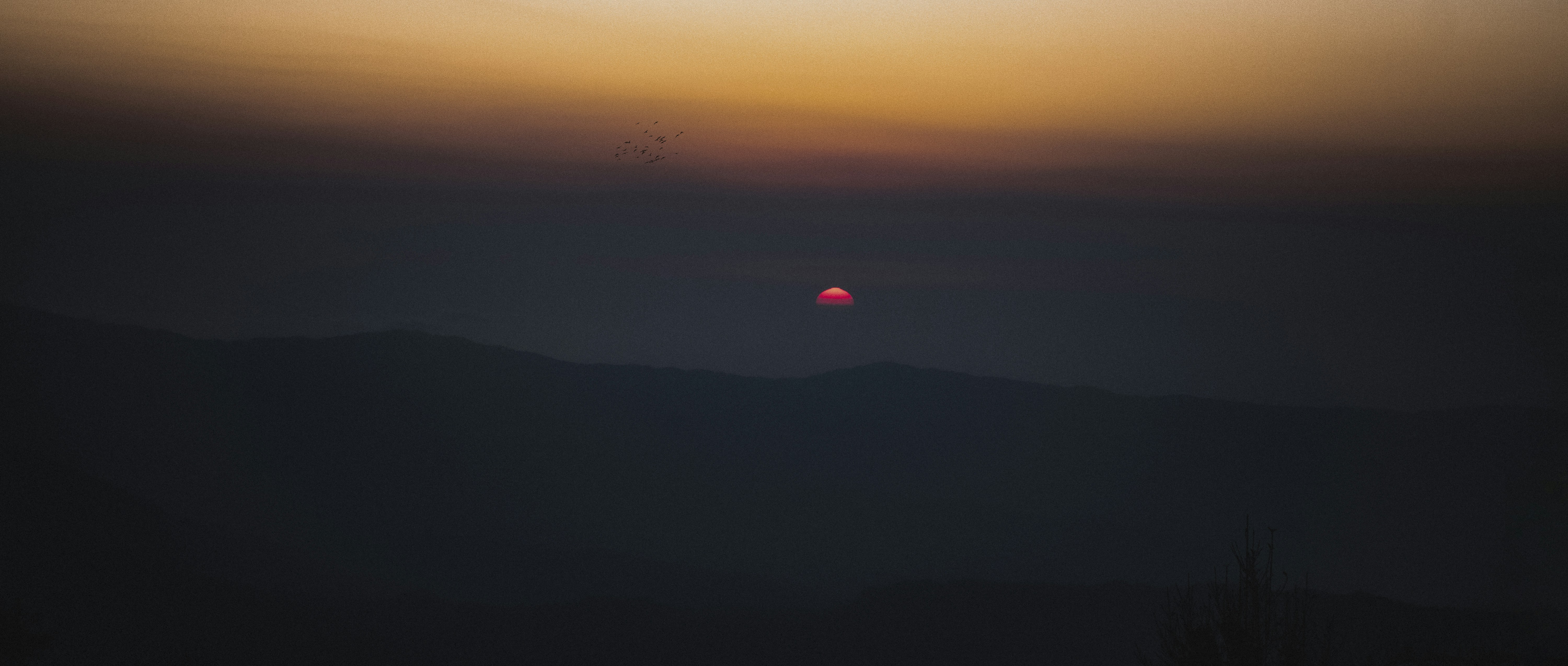 Photo by arghya