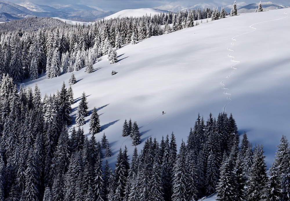 a person riding a snowboard down a snow covered slope