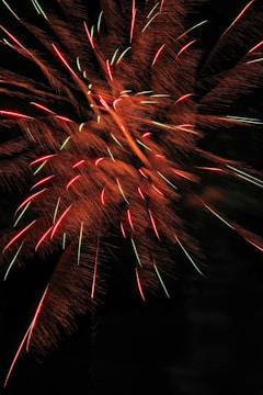 Bright, colorful fireworks burst against a dark night sky with vibrant streaks and patterns of red, orange, and hints of green, creating an explosive display.