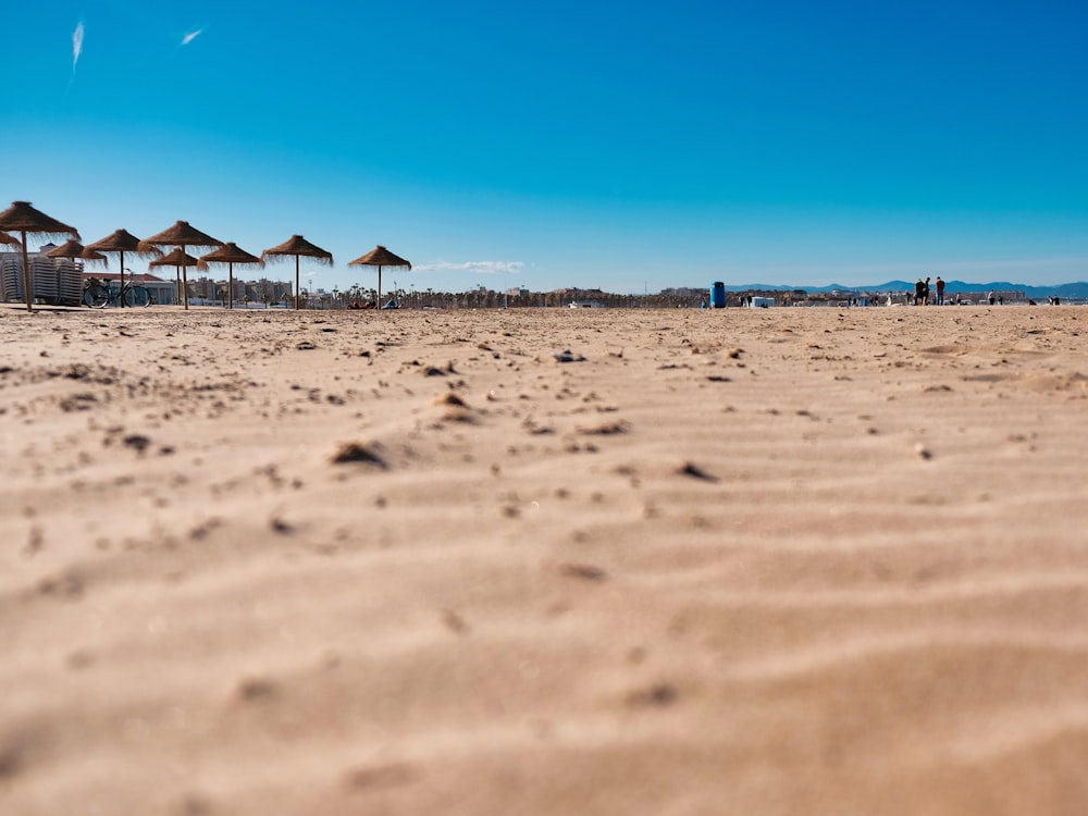 a sandy beach covered in lots of umbrellas