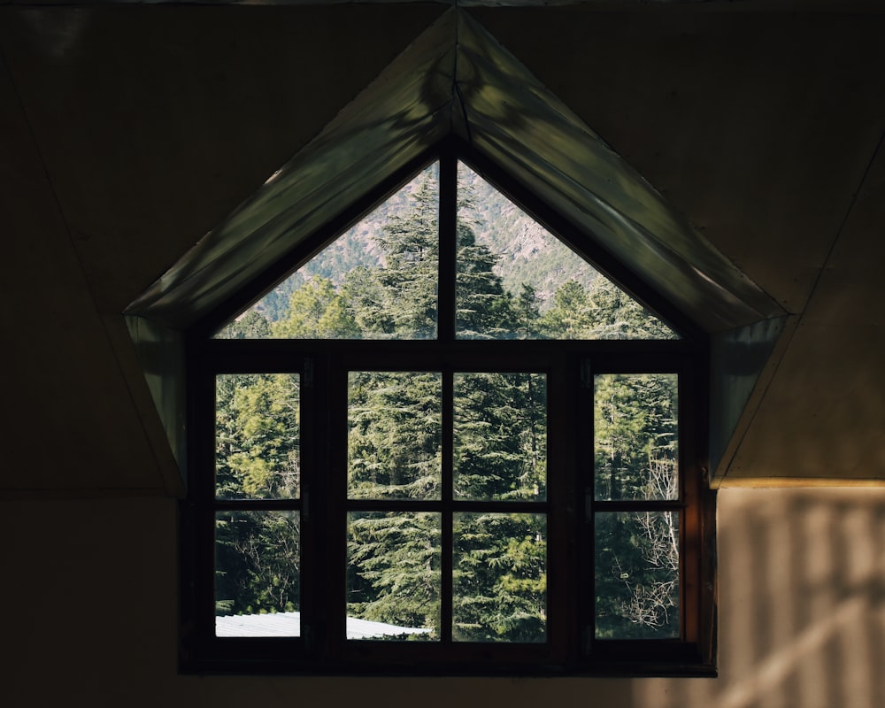 a window with a view of a forest outside
