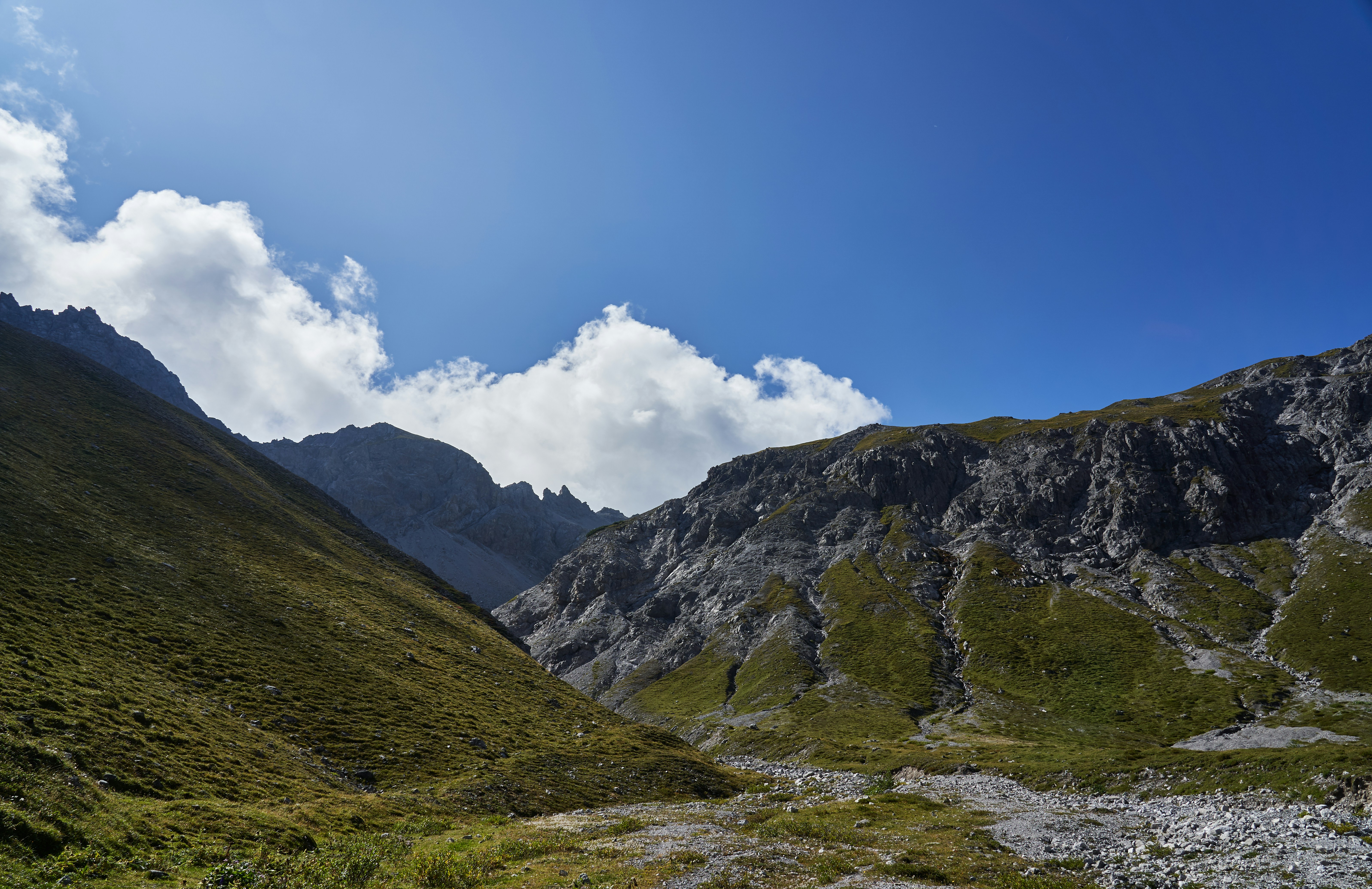 Photo by wolfgang_hasselmann