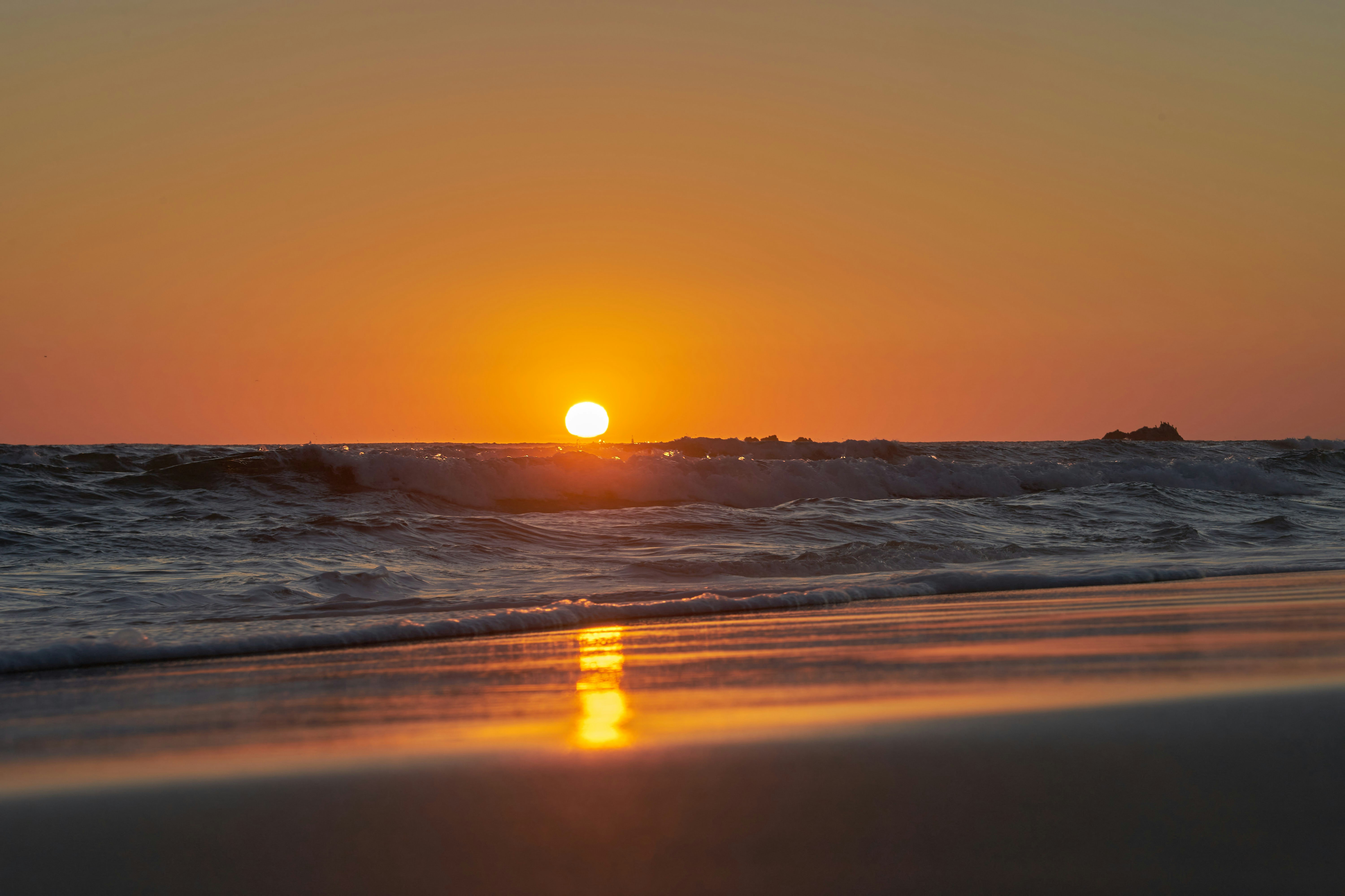 Photo by wolfgang_hasselmann