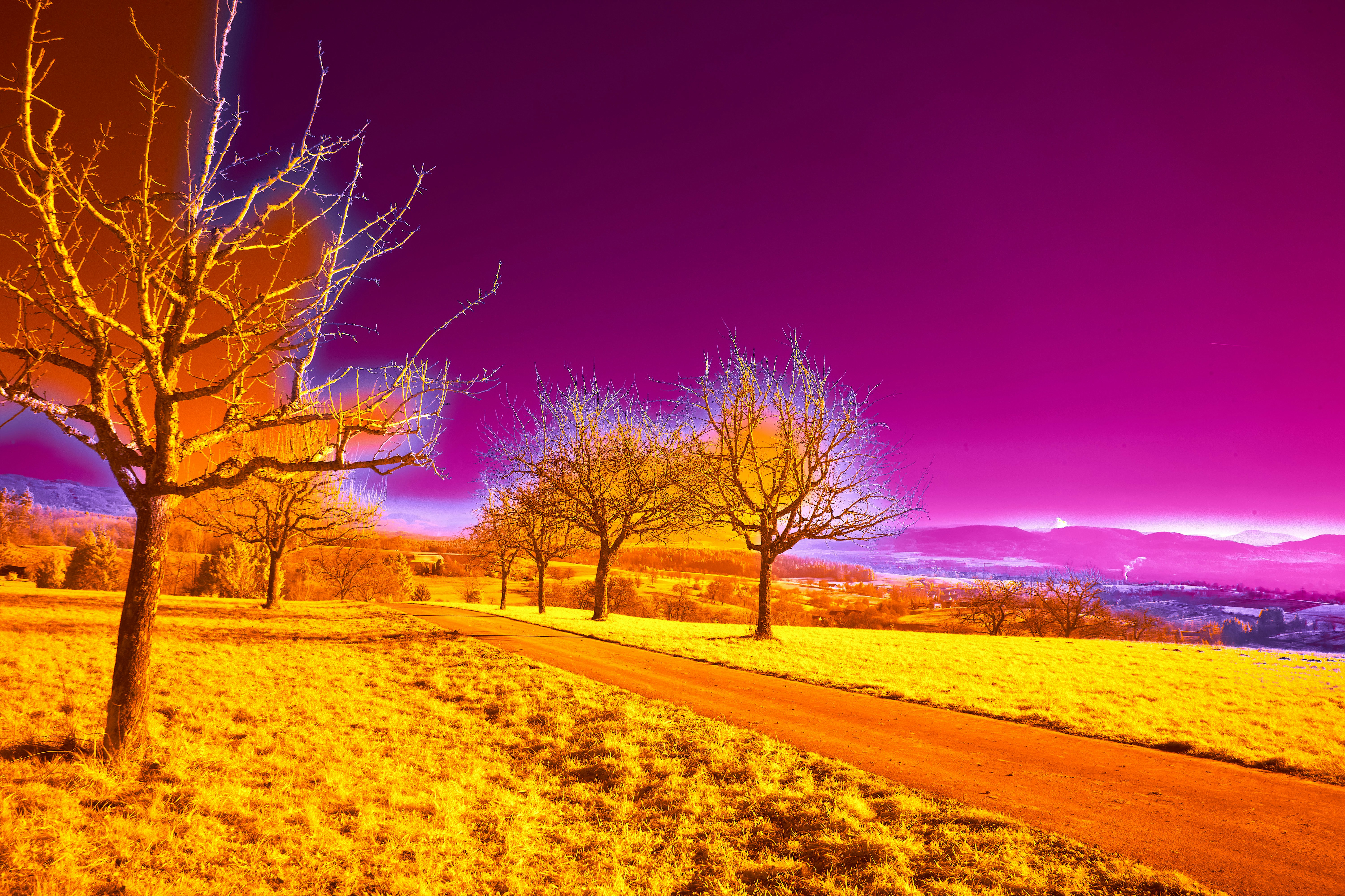 Photo by wolfgang_hasselmann