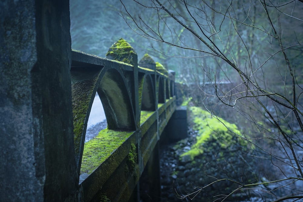 a moss covered bridge over a stream in the woods