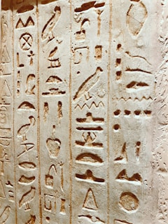 Intricately carved ancient Egyptian hieroglyphs on a stone surface, featuring various symbols and figures organized in vertical columns. The carvings exhibit a blend of abstract and representational forms, including birds, eyes, and geometric shapes, set against a textured background.