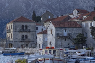 a group of boats sitting in a harbor next to buildings