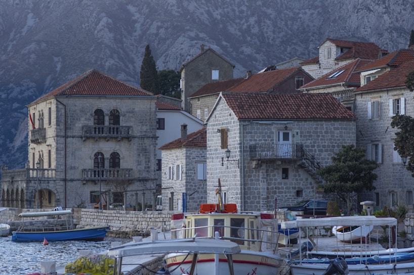 a group of boats sitting in a harbor next to buildings