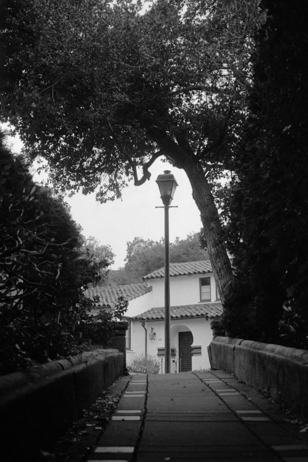 a black and white photo of a street light