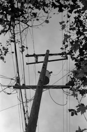 a black and white photo of a telephone pole