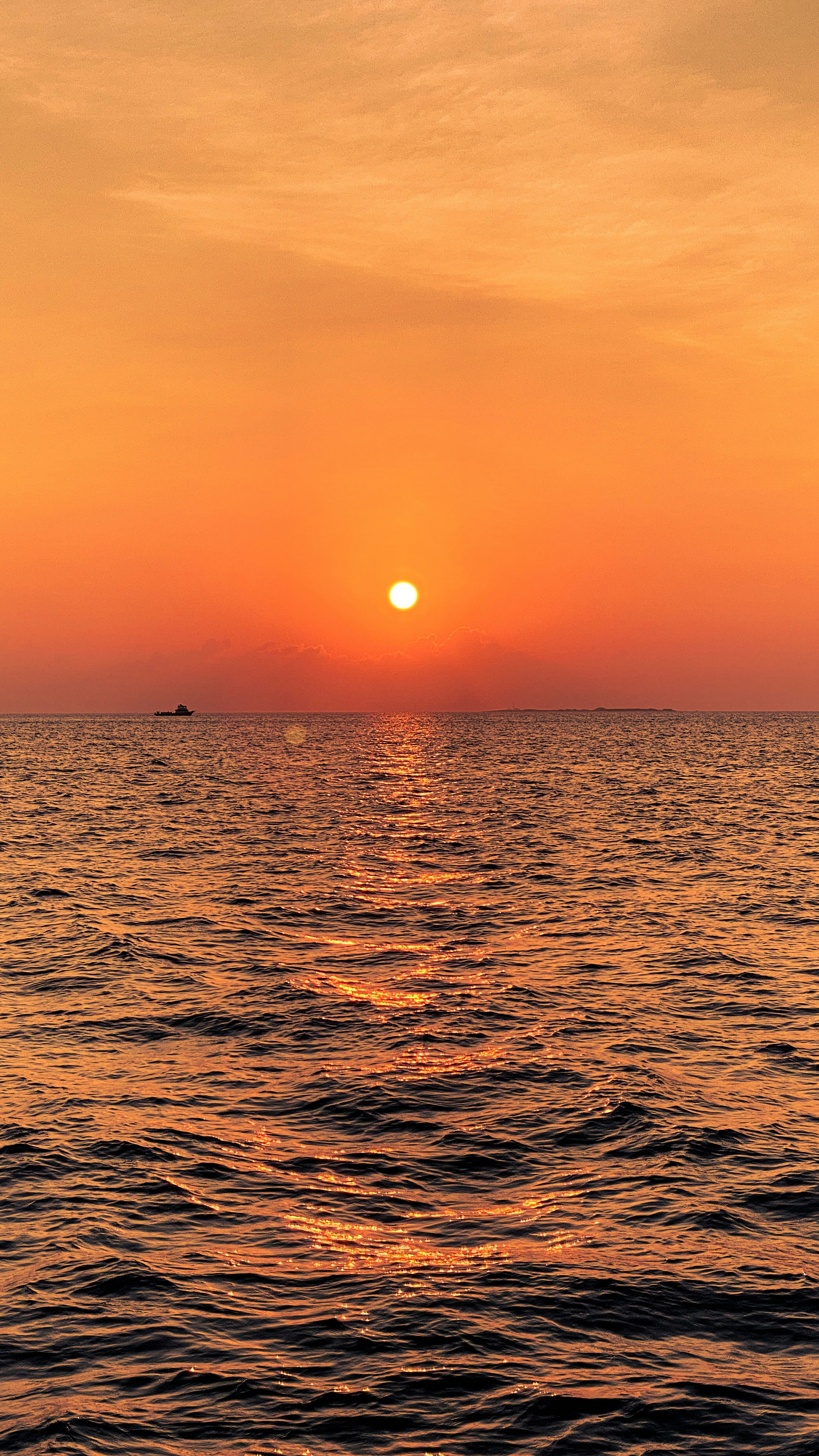 Photo by shadesoftropical