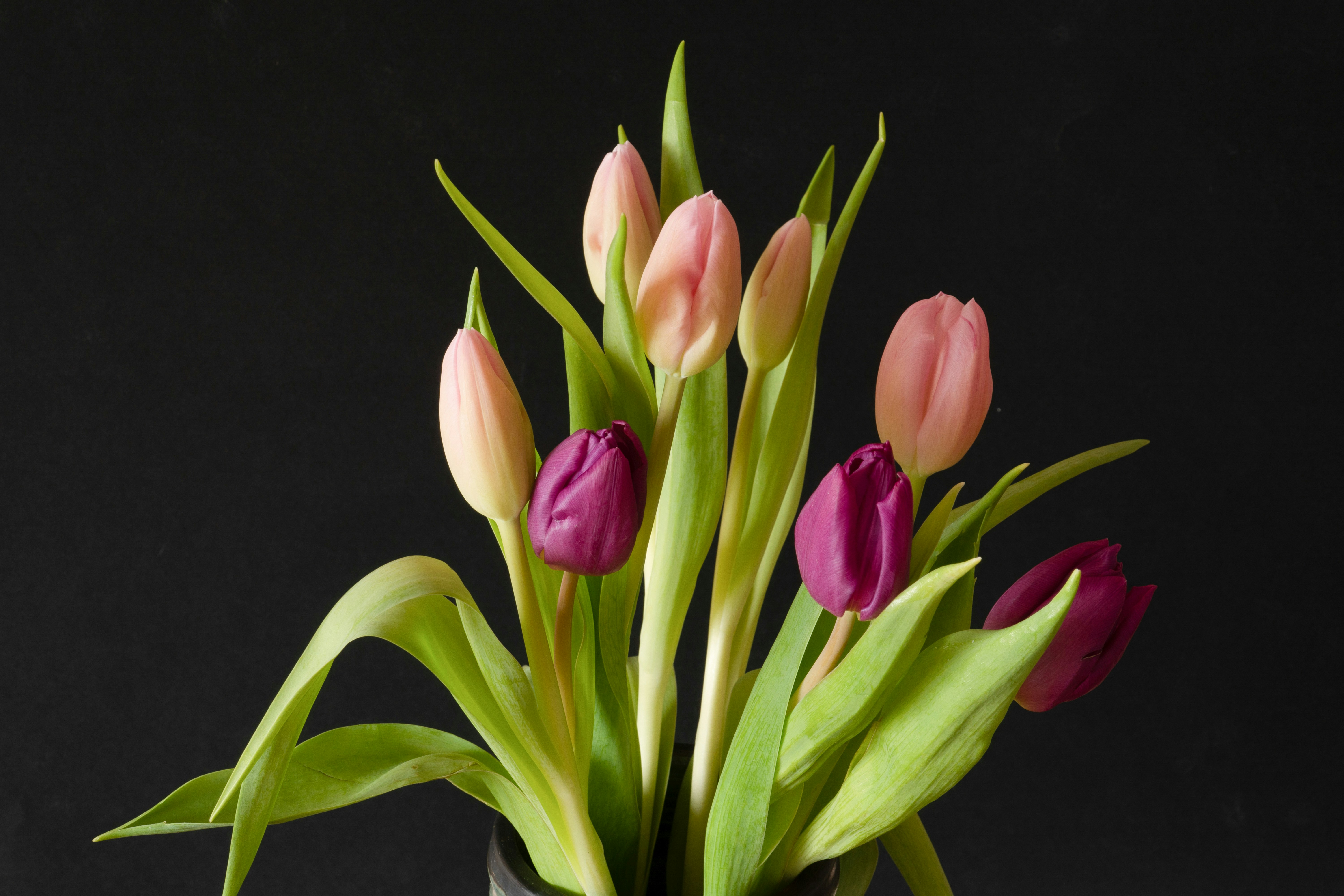 Photo by earl_plannerzone