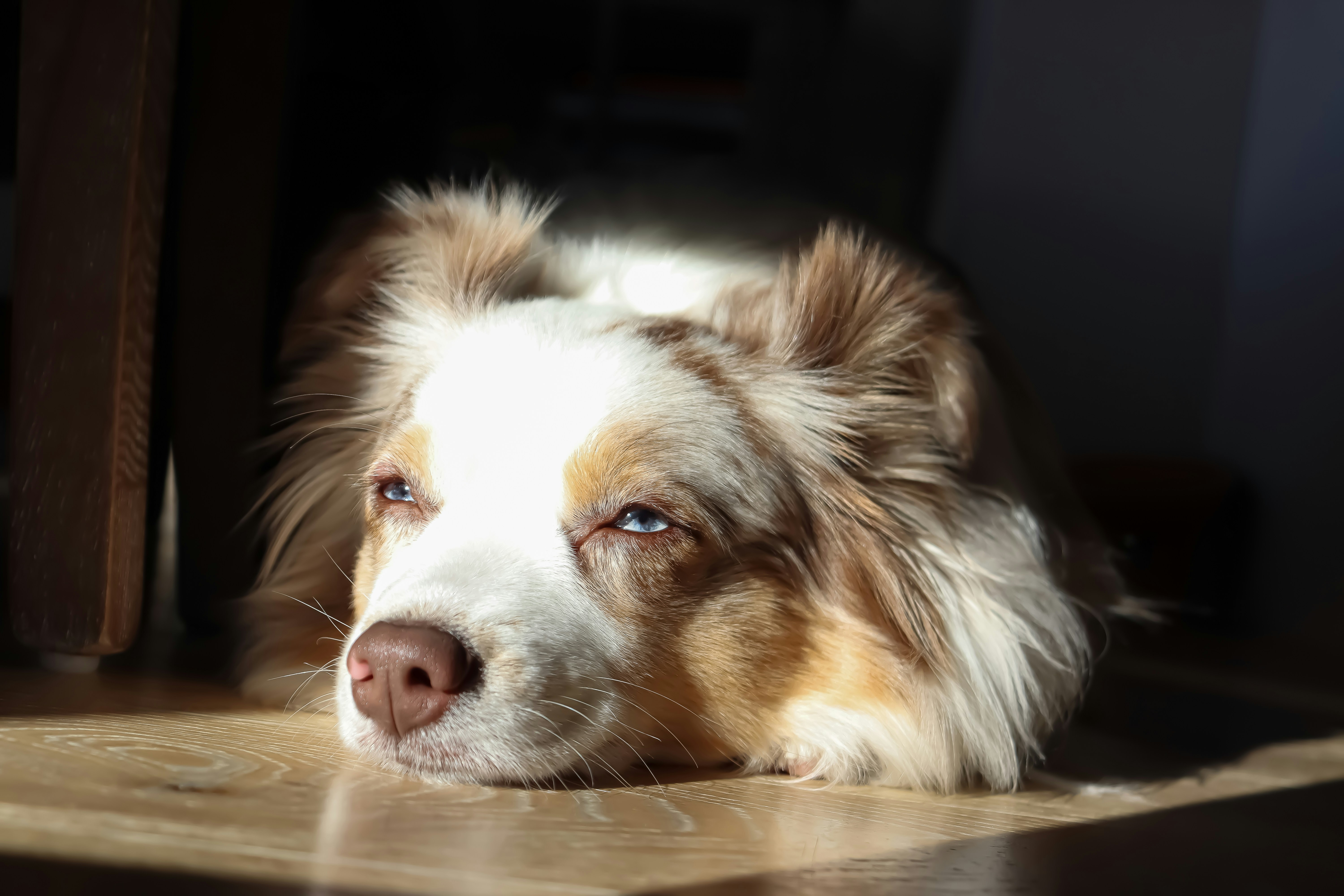 Photo by theredmerle